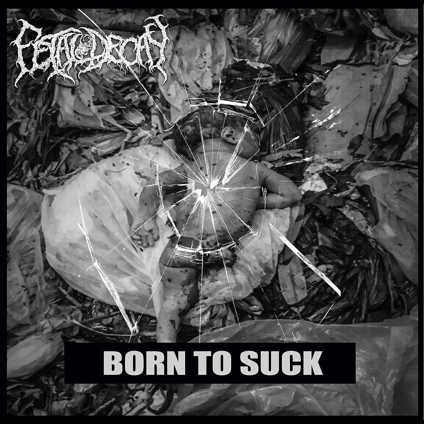 Постер альбома Born to Suck