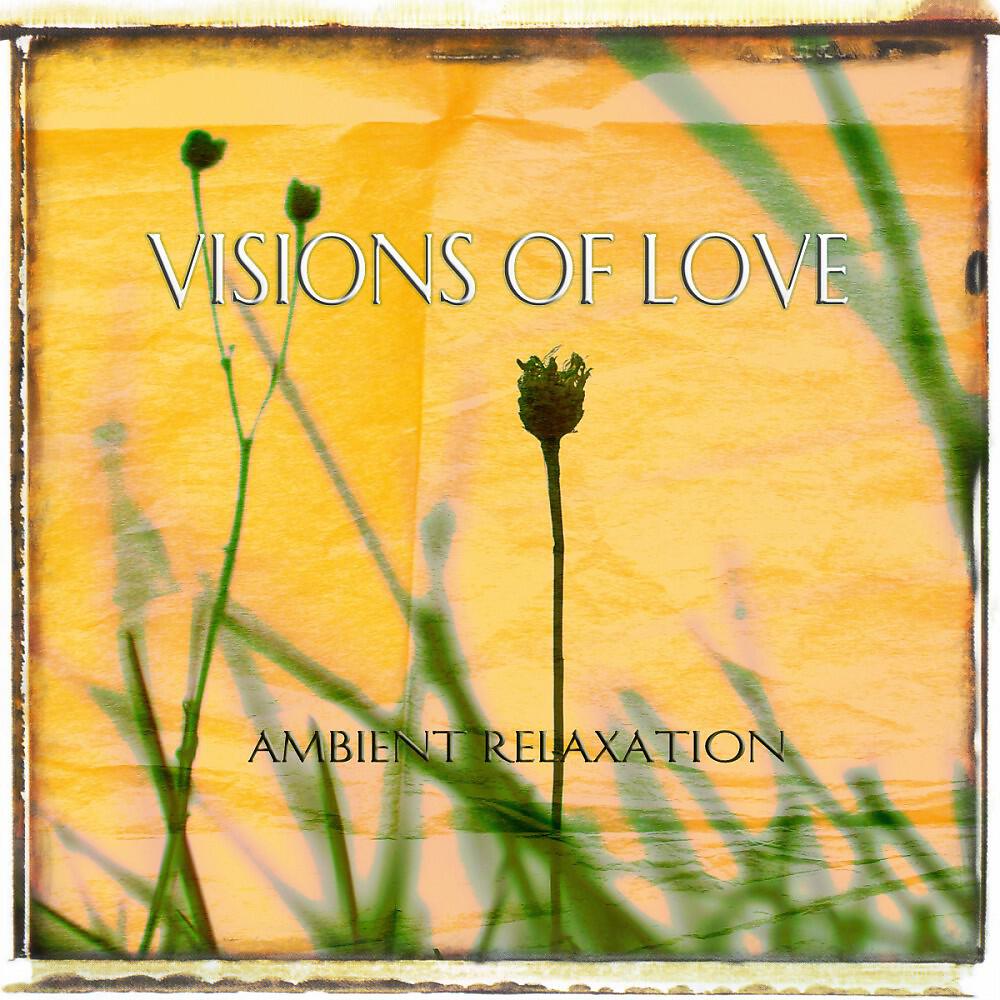 Релиз Visions of Love