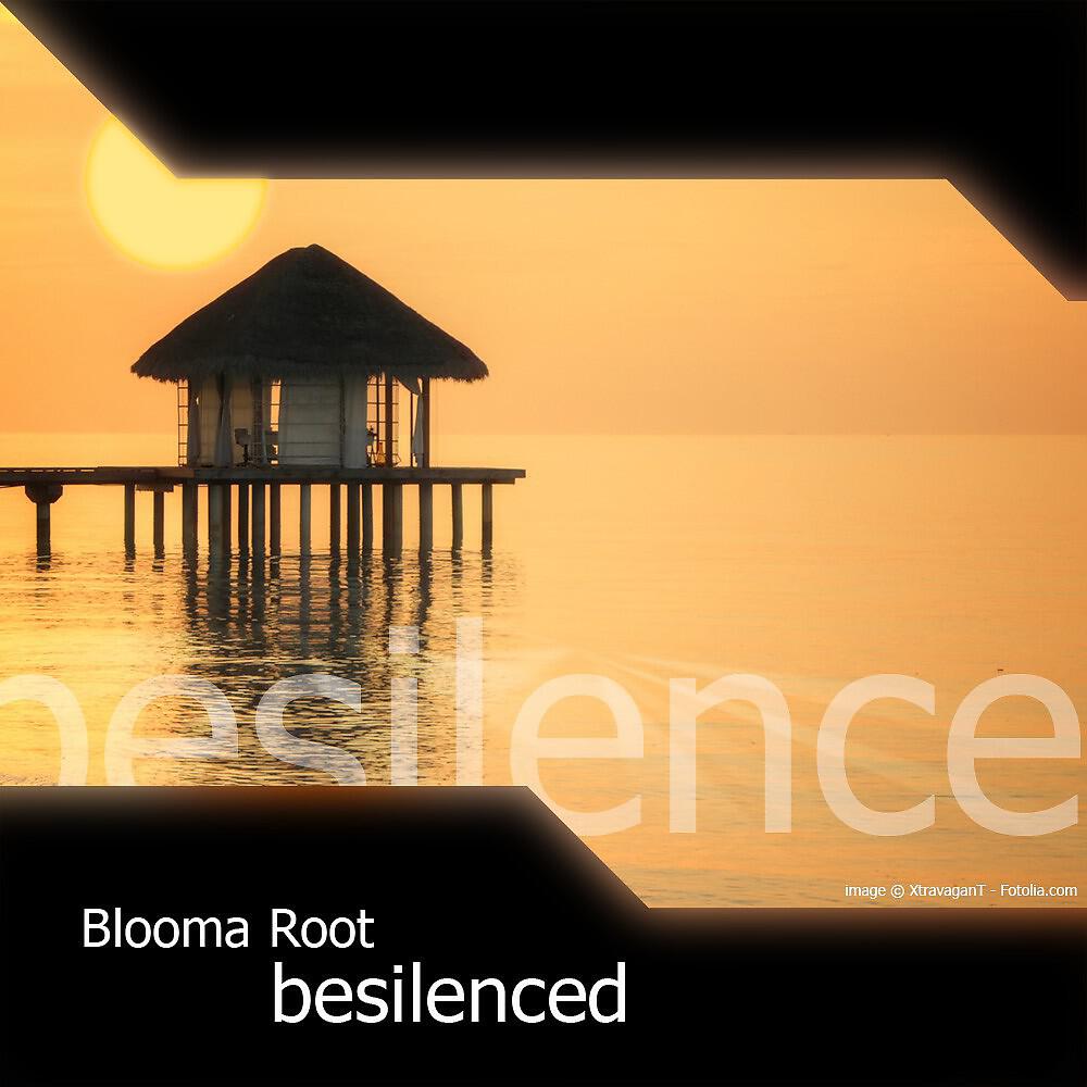 Релиз Besilenced