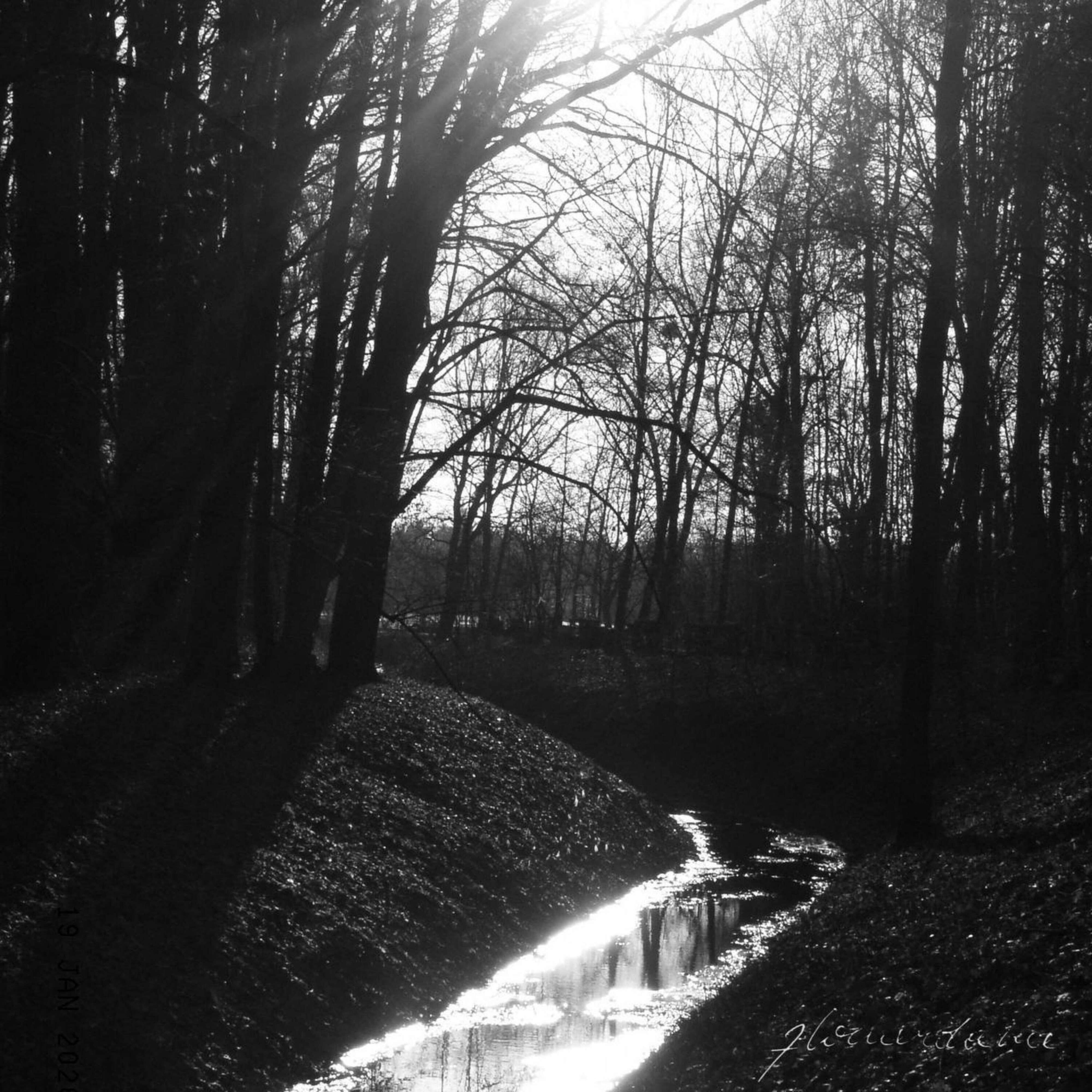 Релиз River