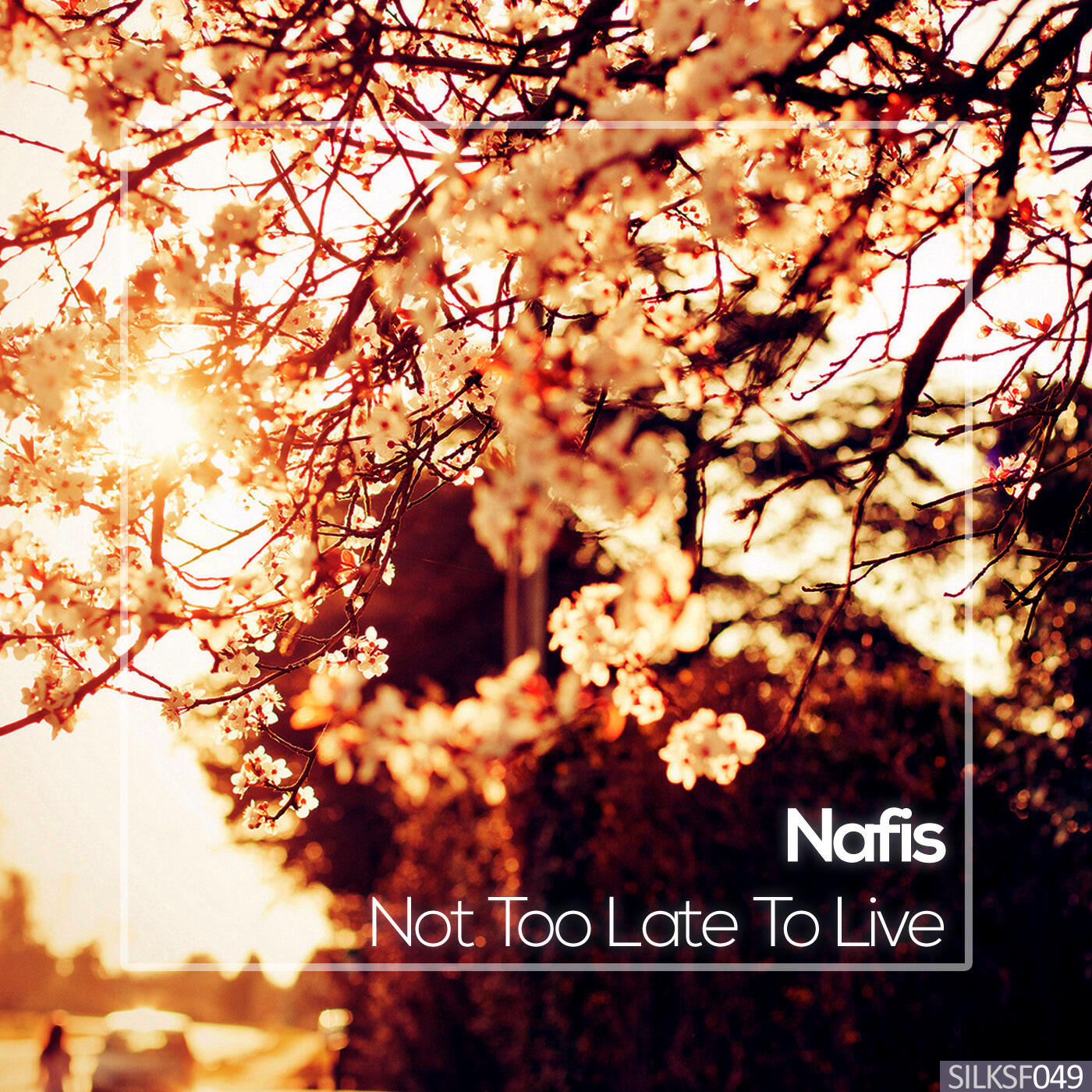 Релиз Not Too Late To Live