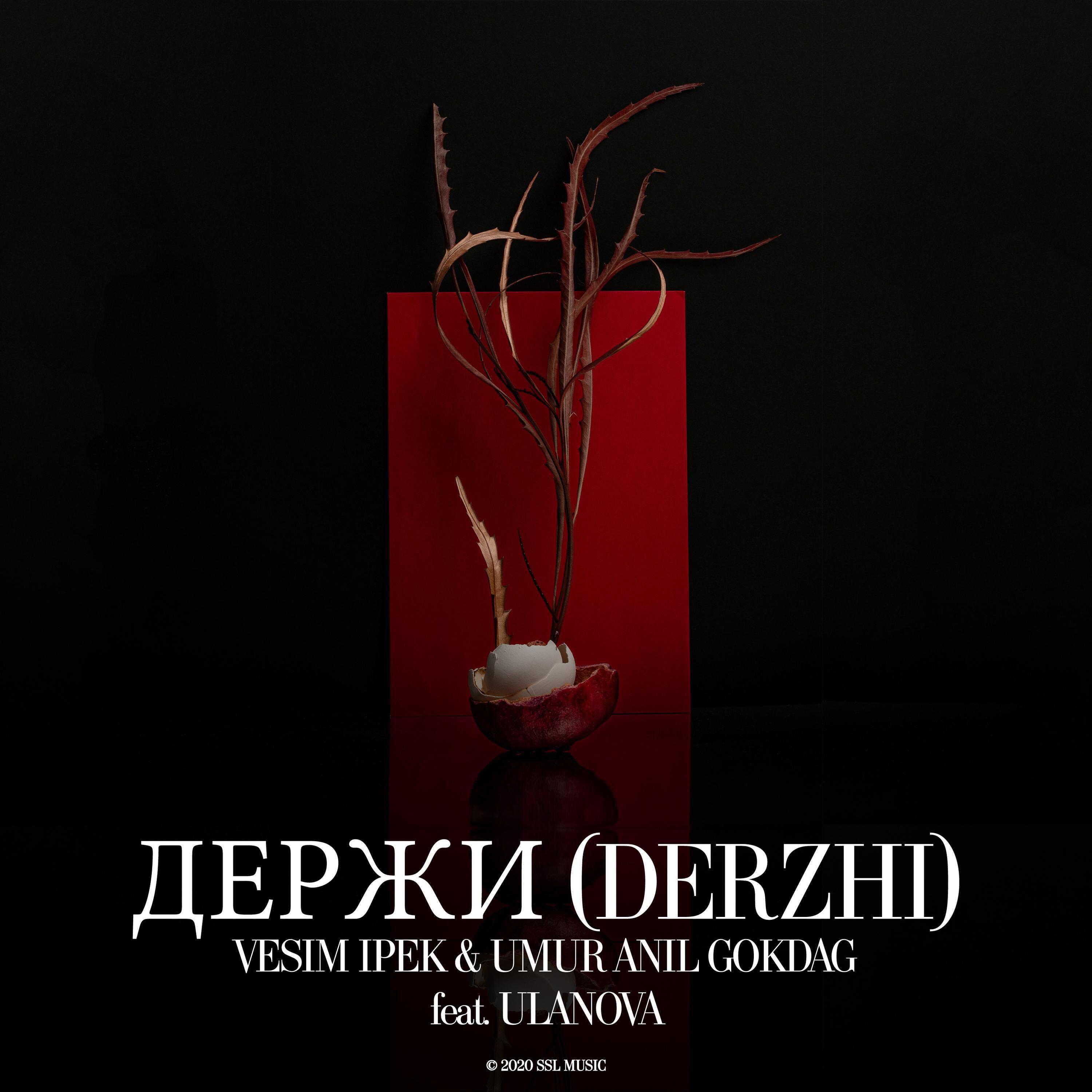 Релиз Держи (Derzhi)