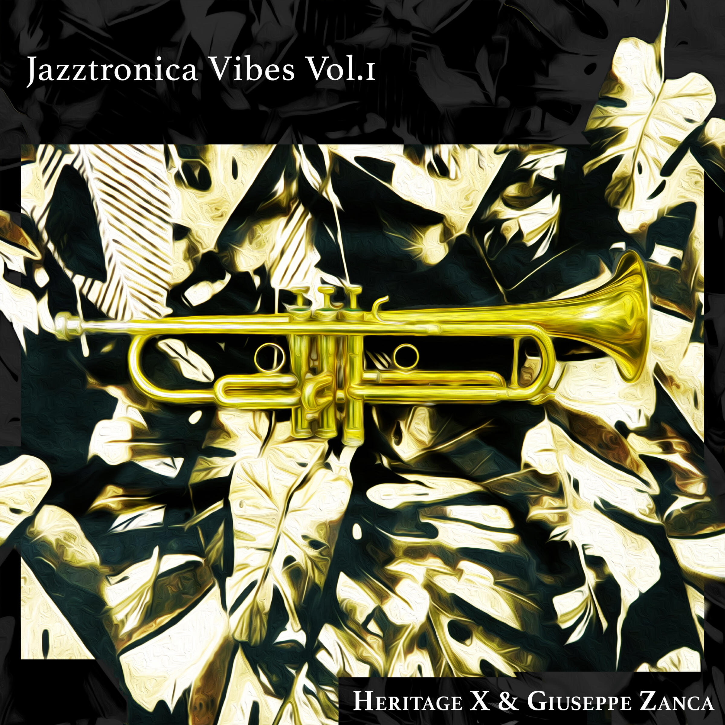 Релиз Jazztronica Vibes, Vol. 1