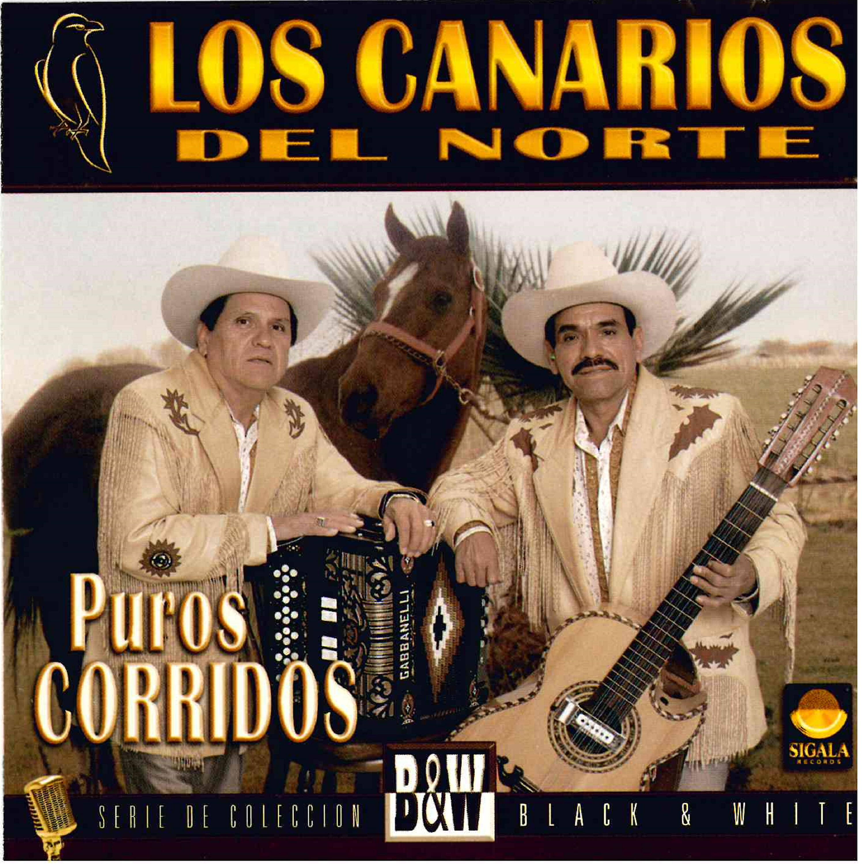 Los Canarios del Norte