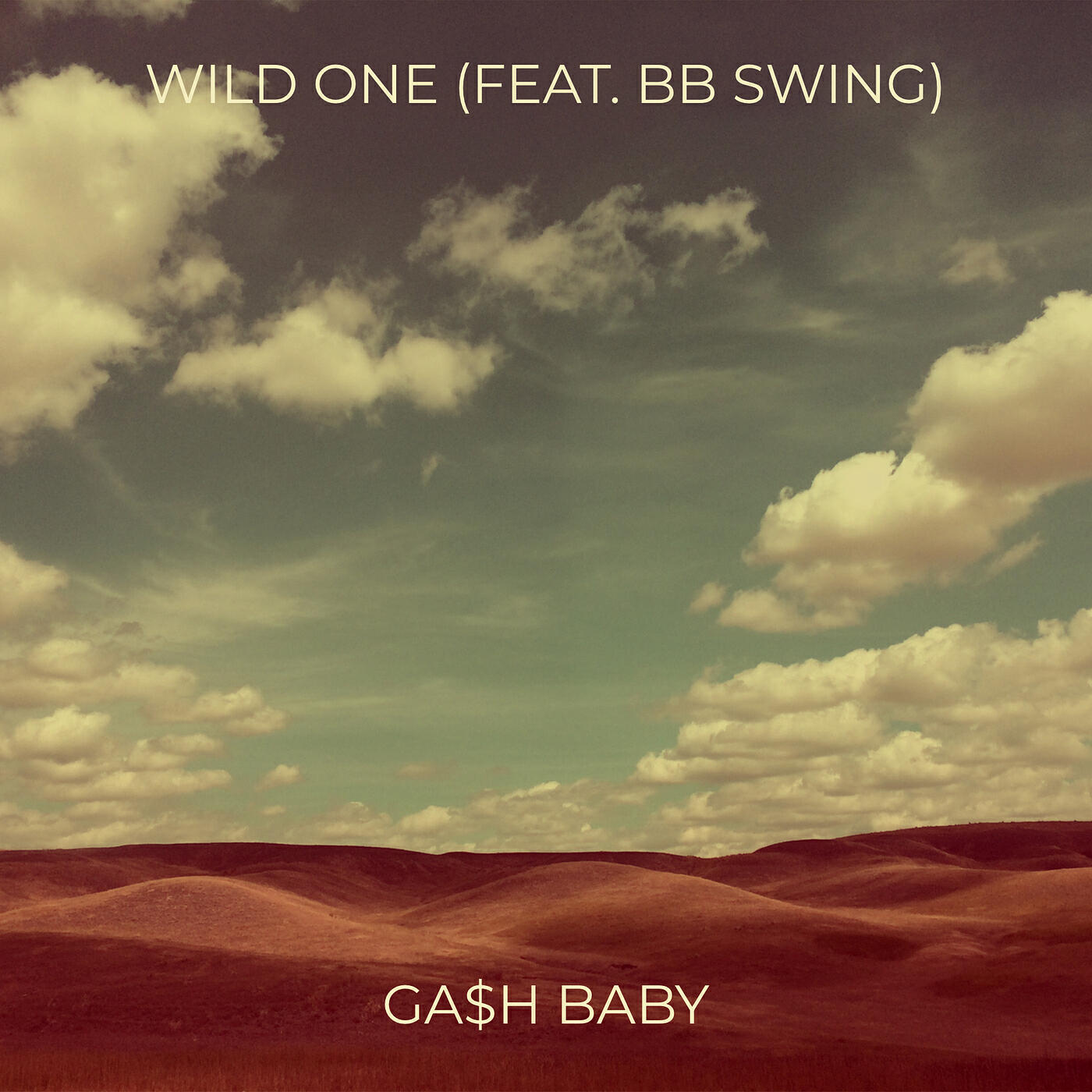 Постер альбома Wild One