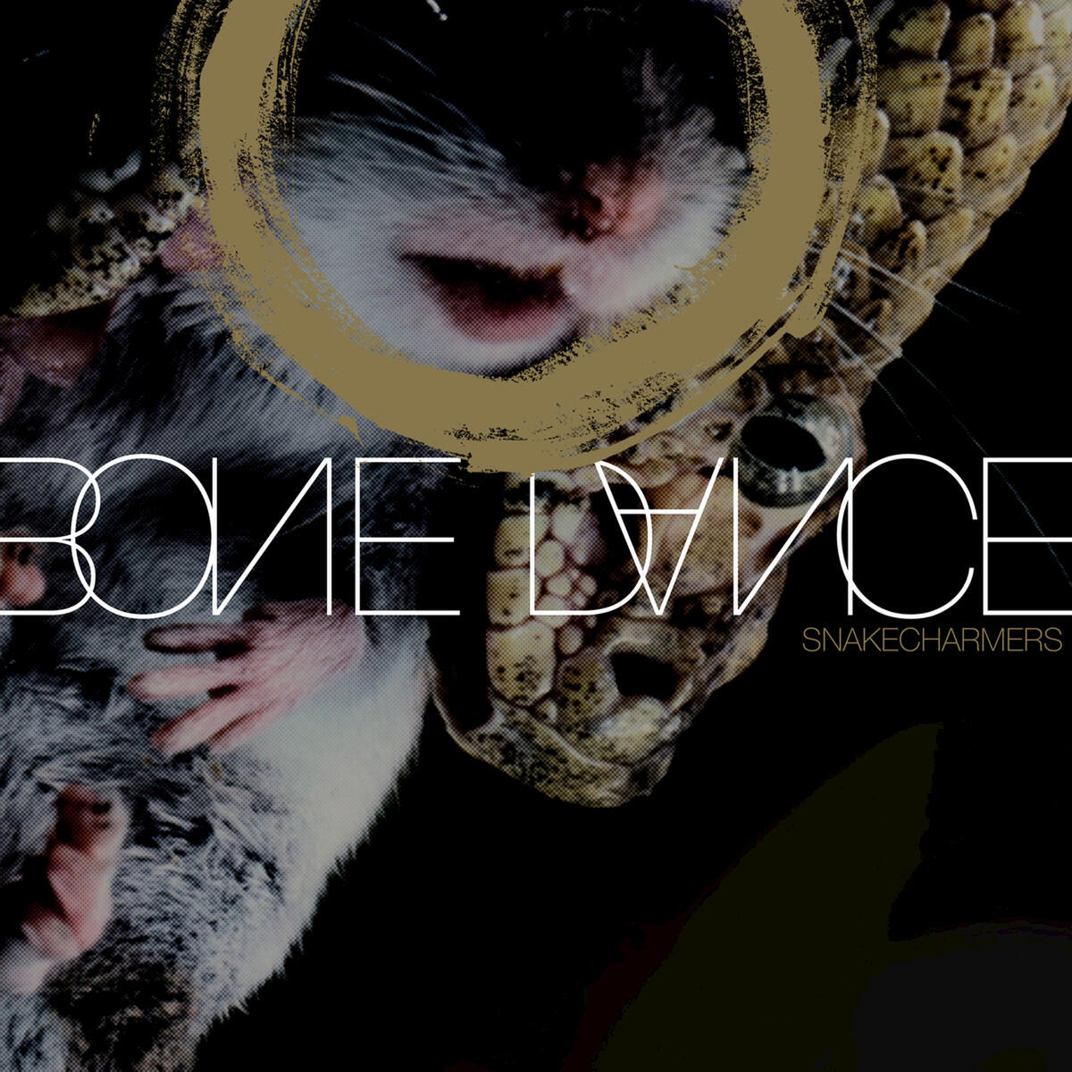 Релиз Snakecharmers
