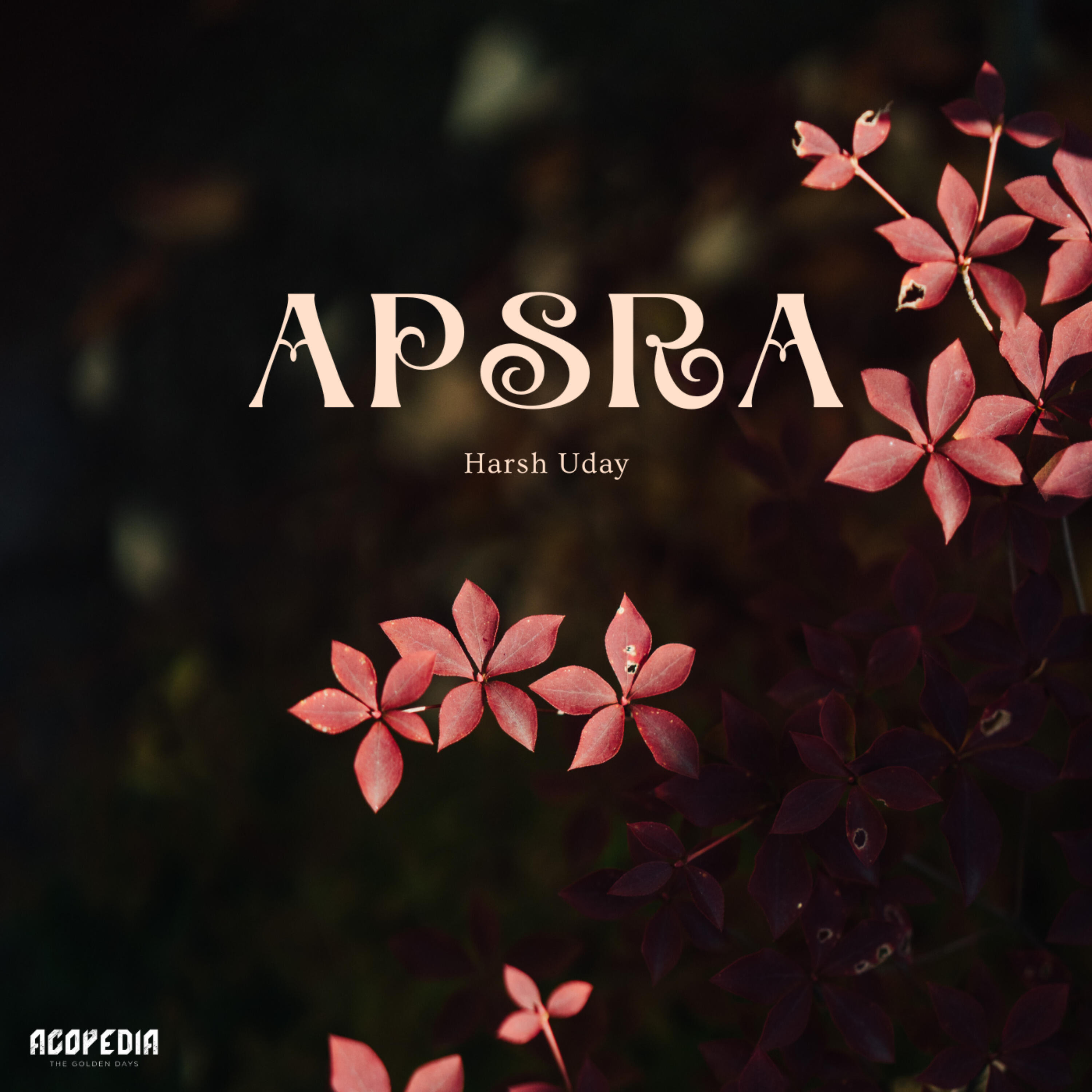 Релиз Apsra