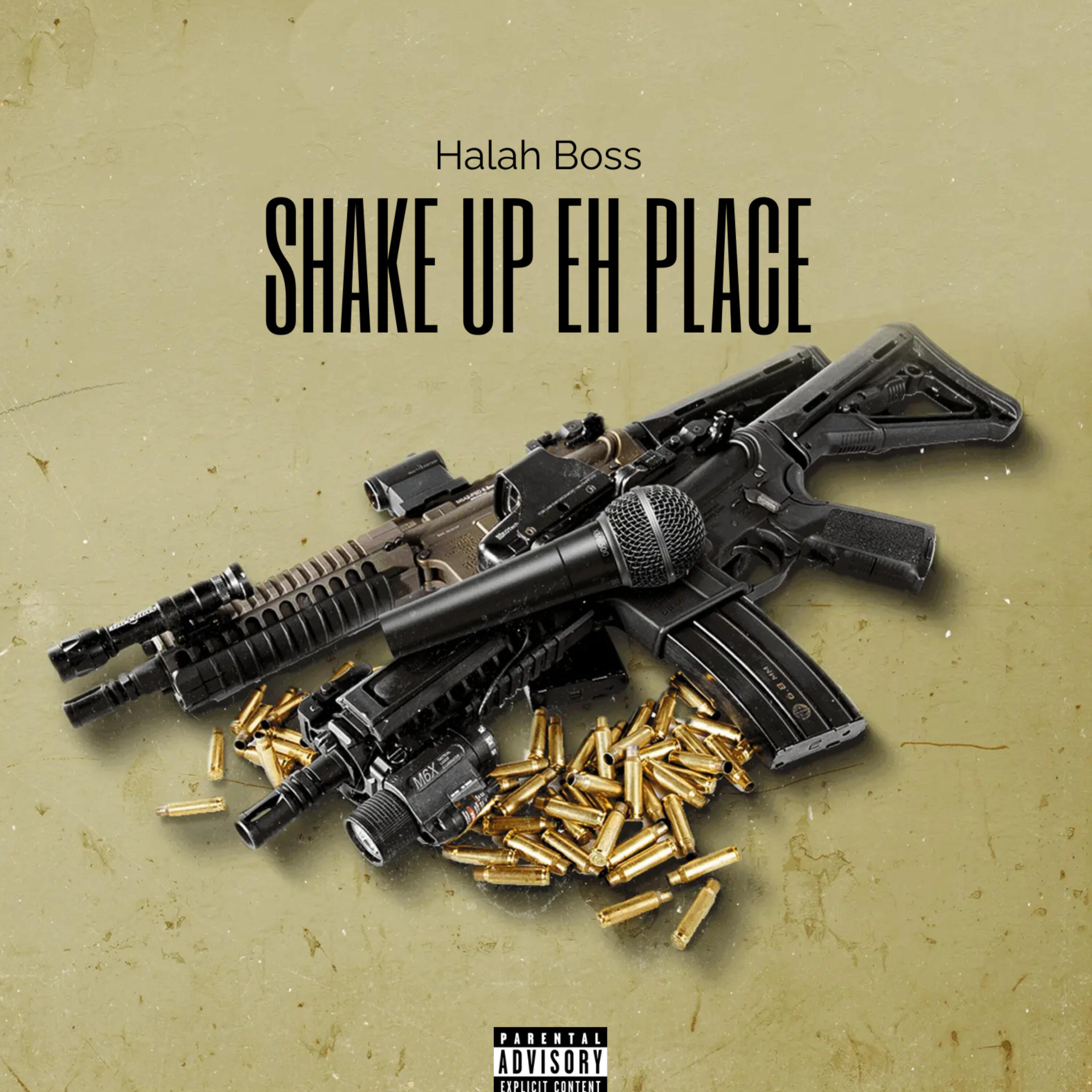 Релиз Shake Up Eh Place