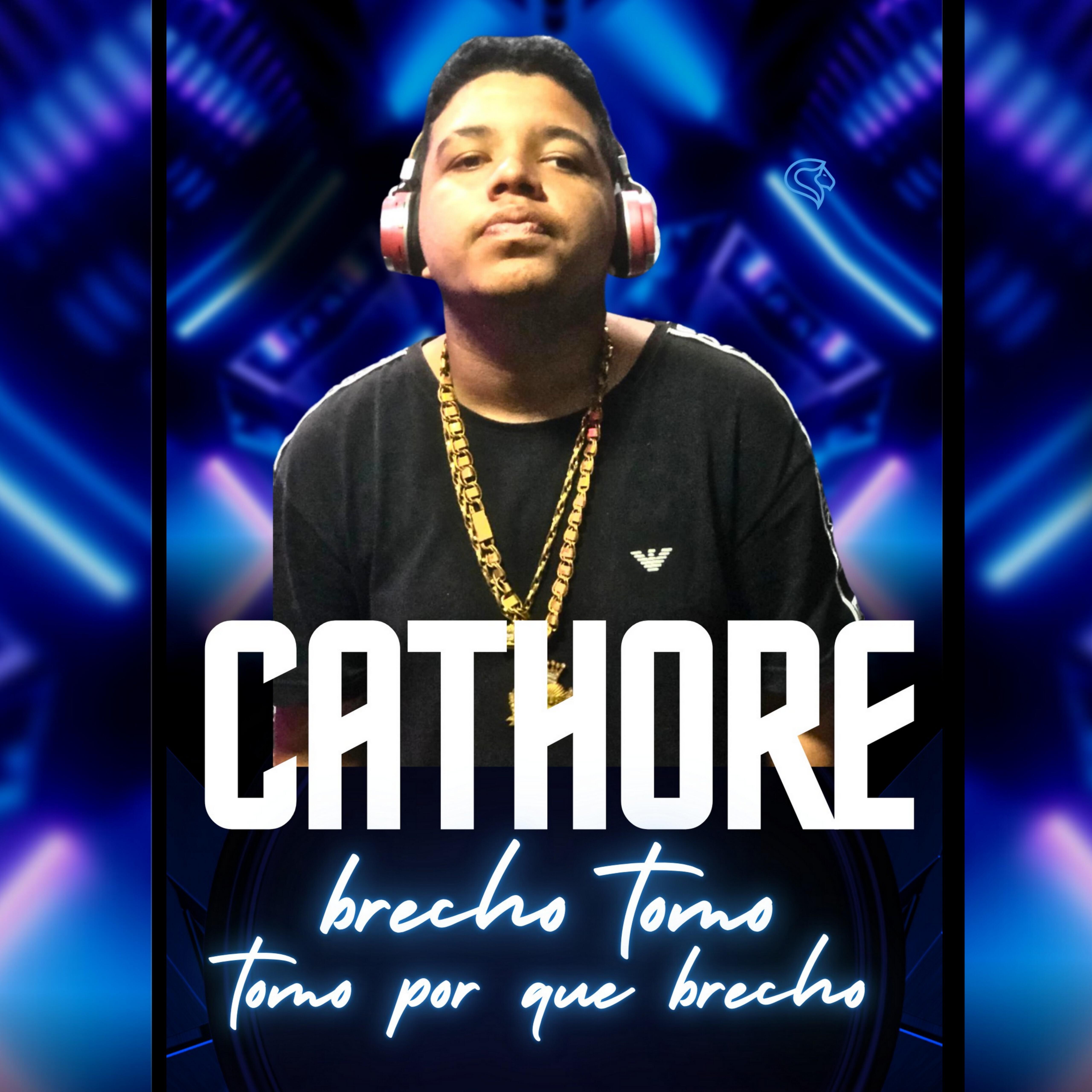 Постер альбома Brecho Tomo Tomo por Que Brecho
