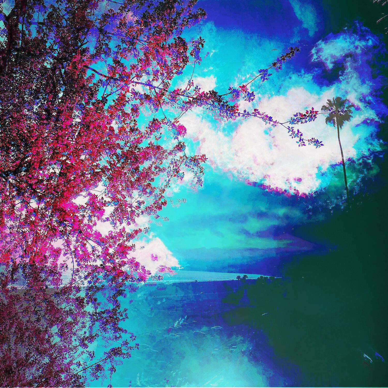 Релиз Paths