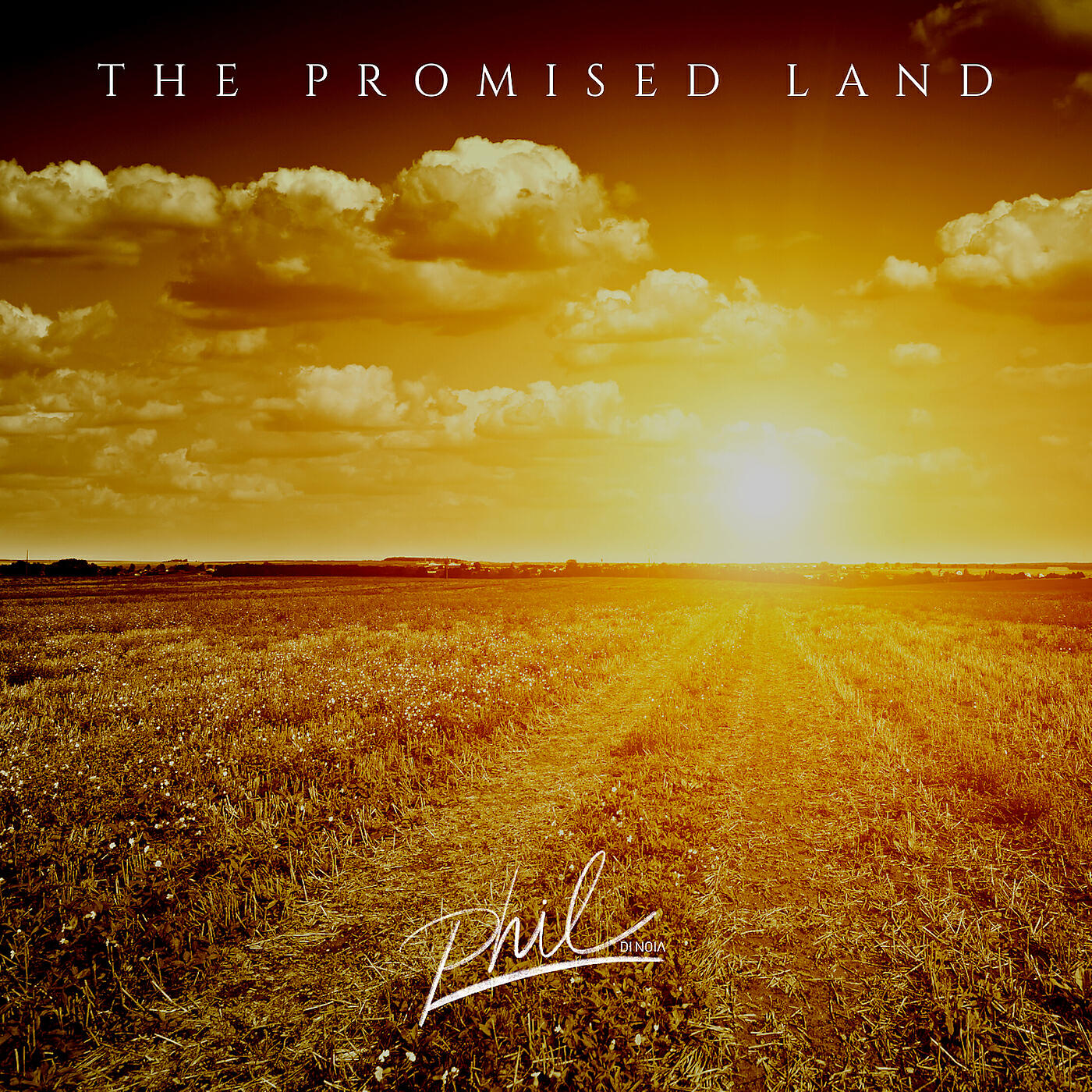 Релиз The Promised Land