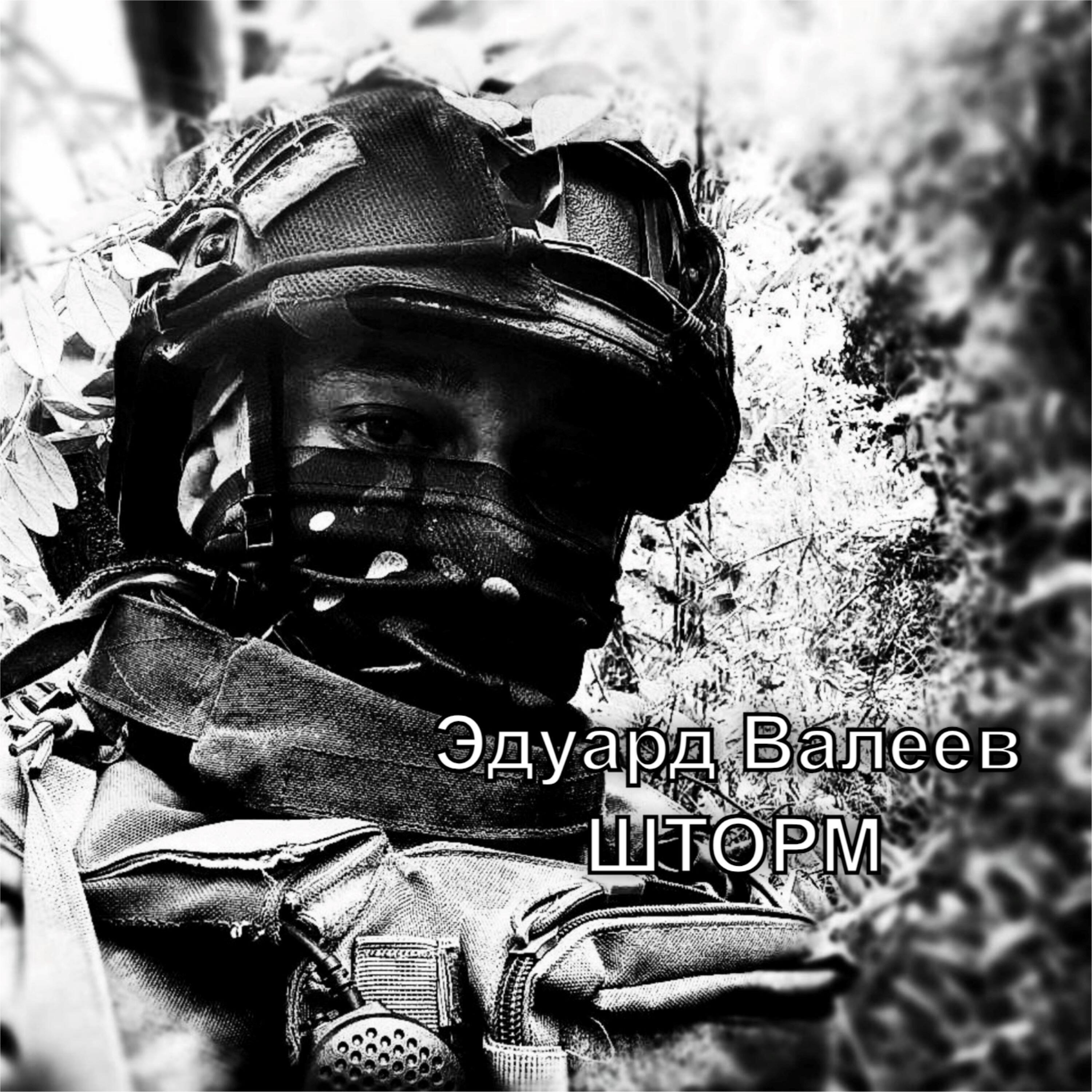 Релиз Шторм