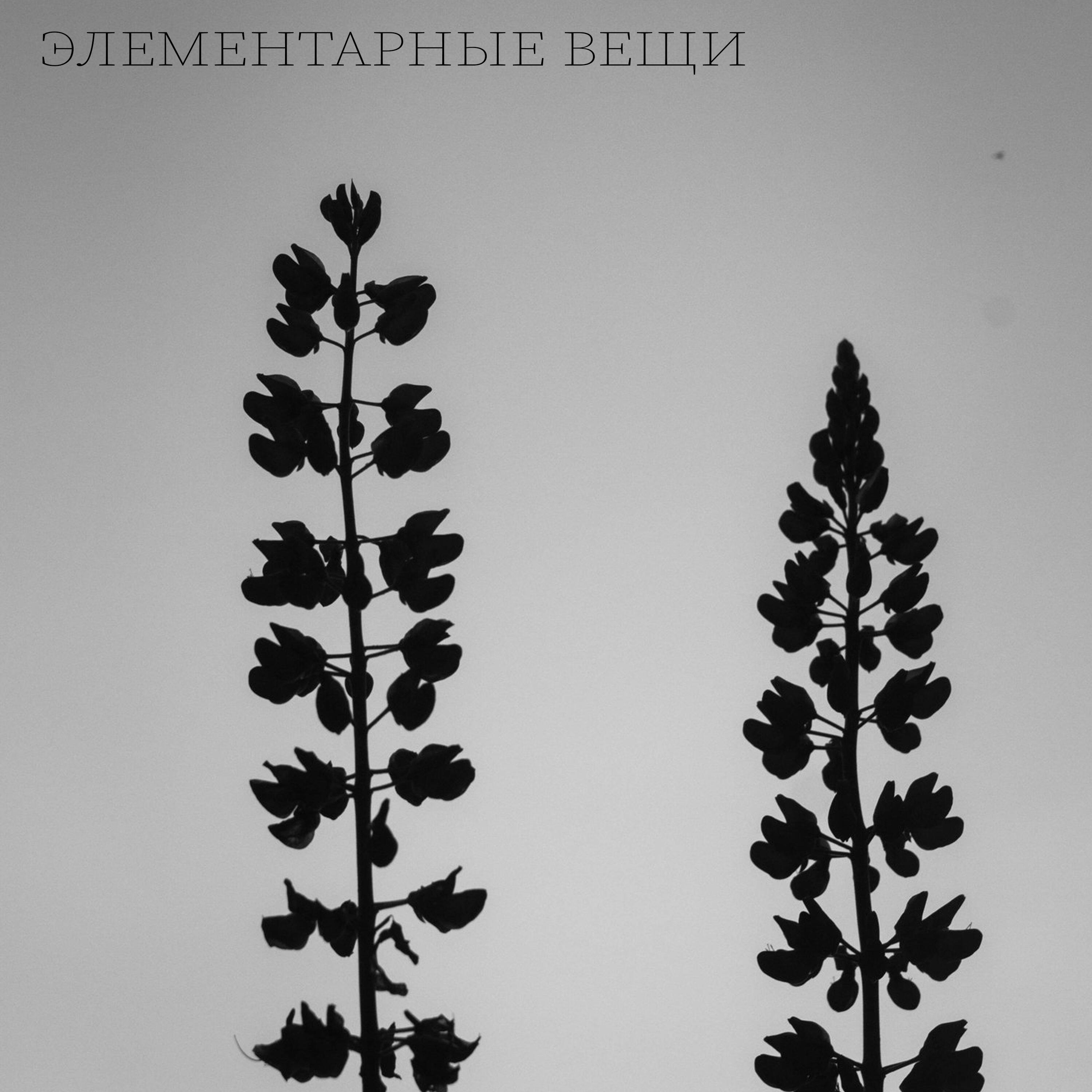 Баззи
