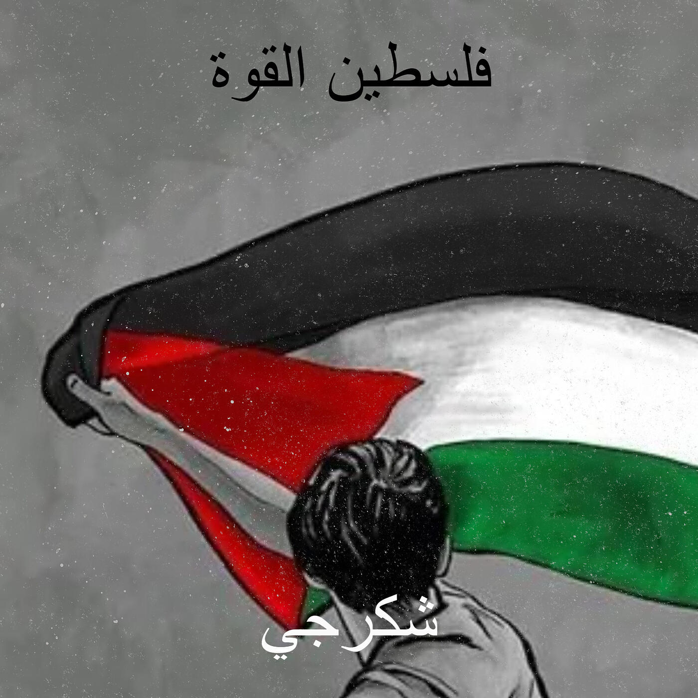 شكرجي