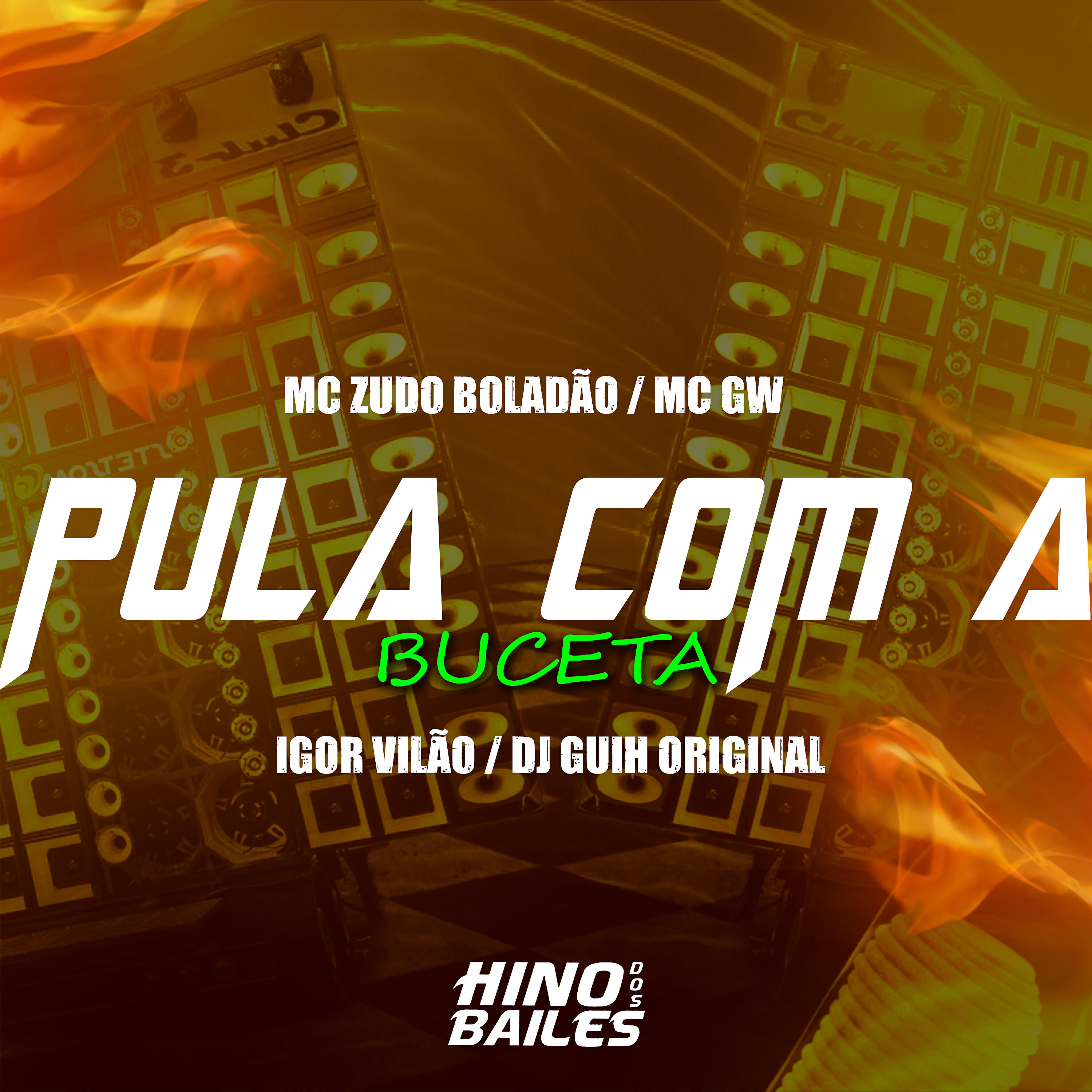 Скачать песню Igor vilão, MC Zudo Boladão, Mc GW, Dj Guih Original - Pula Com a Buceta бесплатно в MP3 для Android и iOS