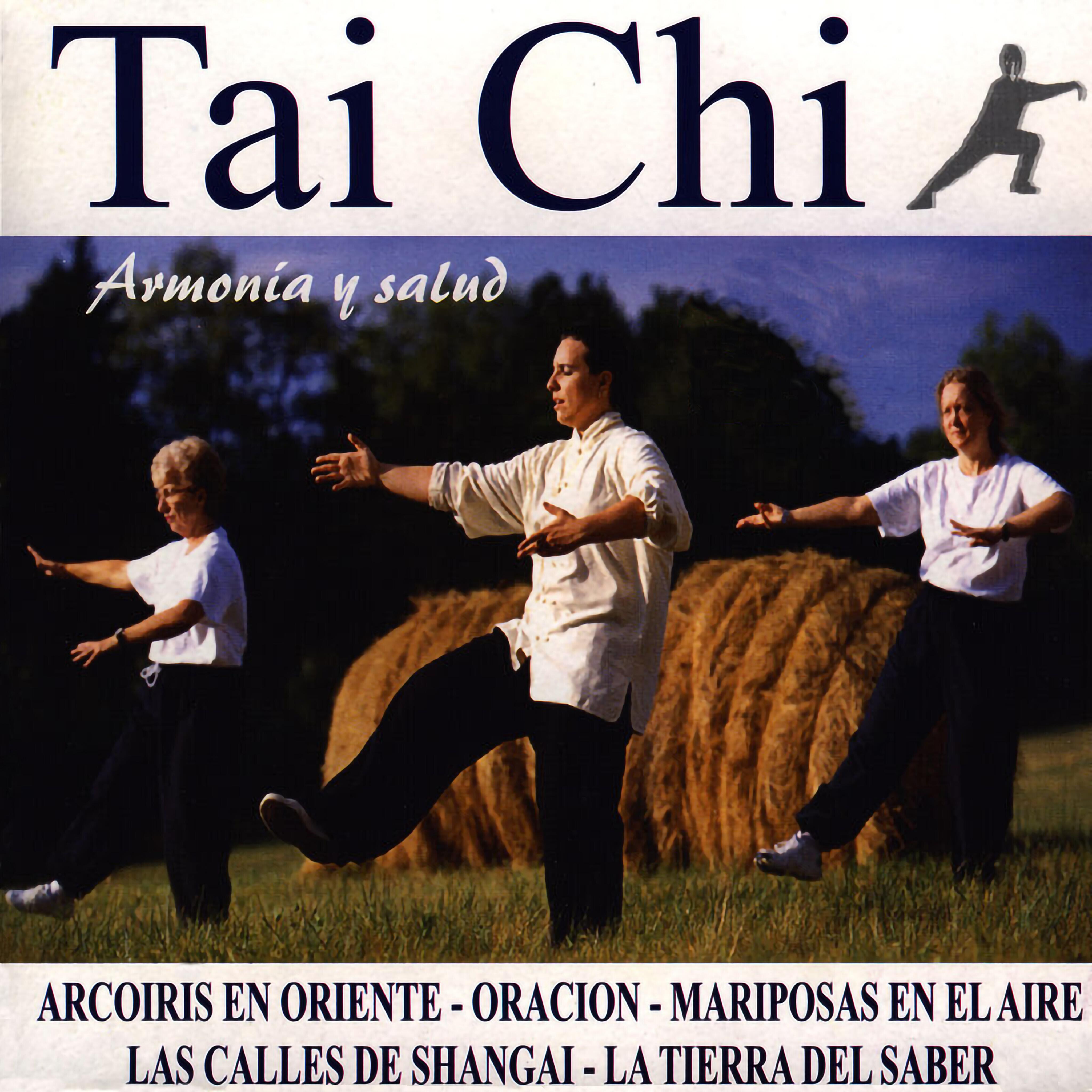 Релиз Tai Chi