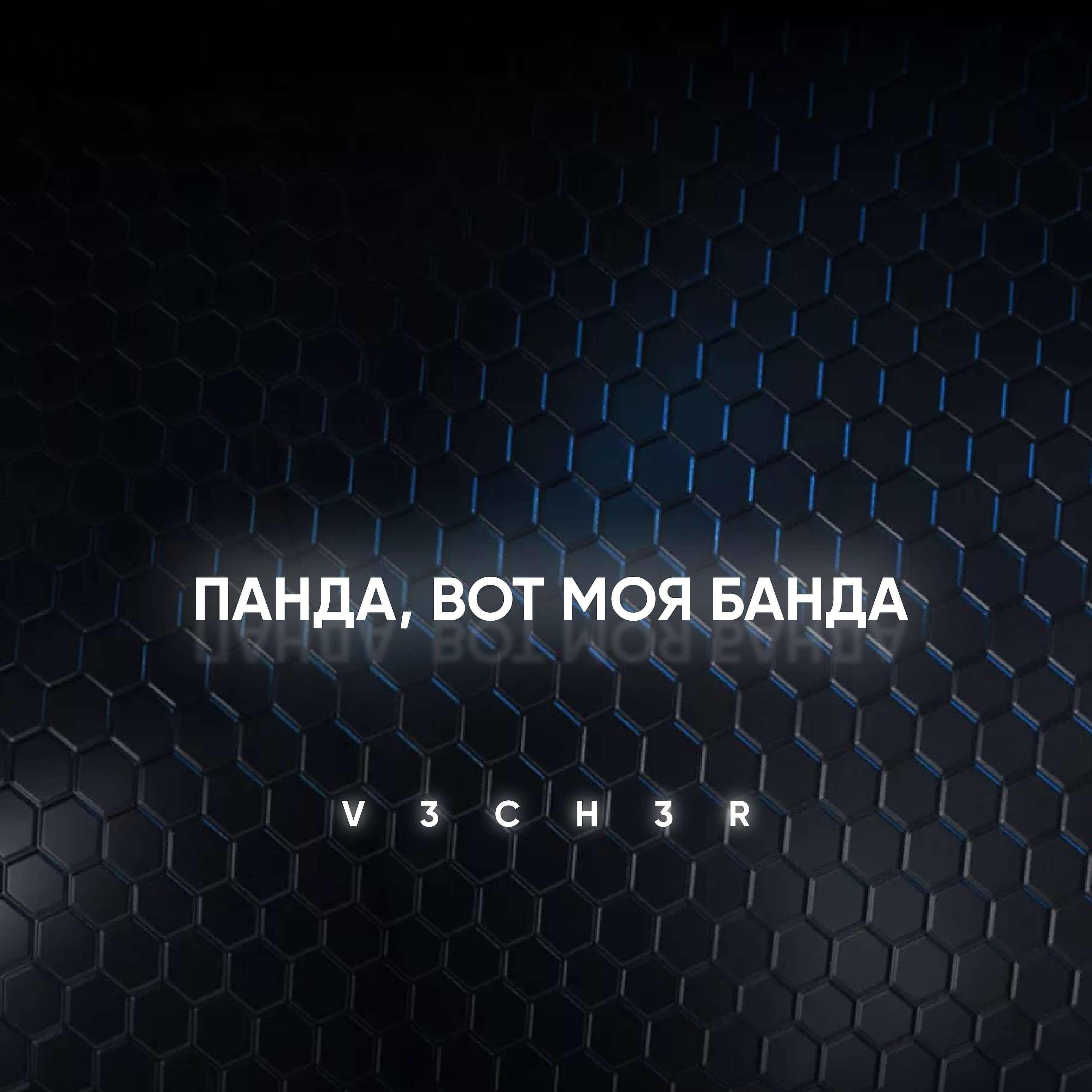 Постер альбома Панда, вот моя банда
