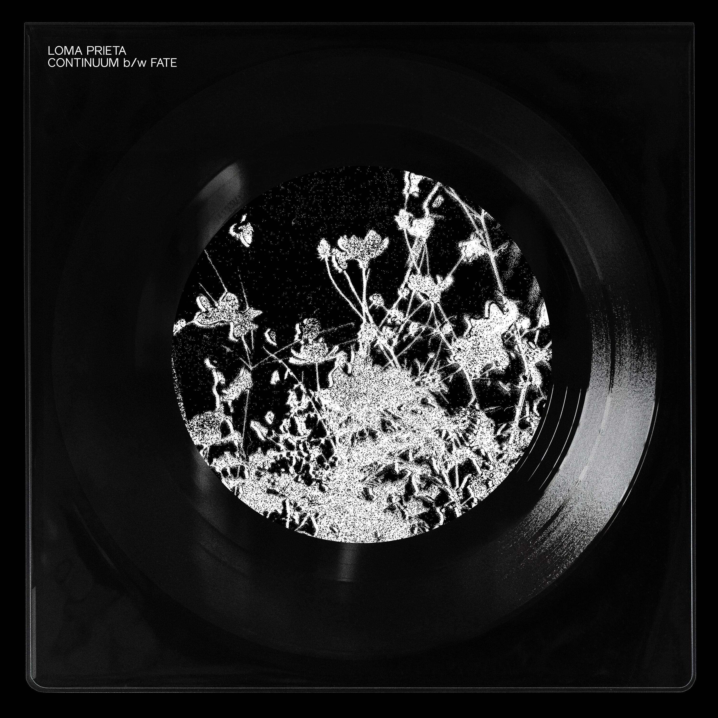 Релиз Continuum B/W Fate