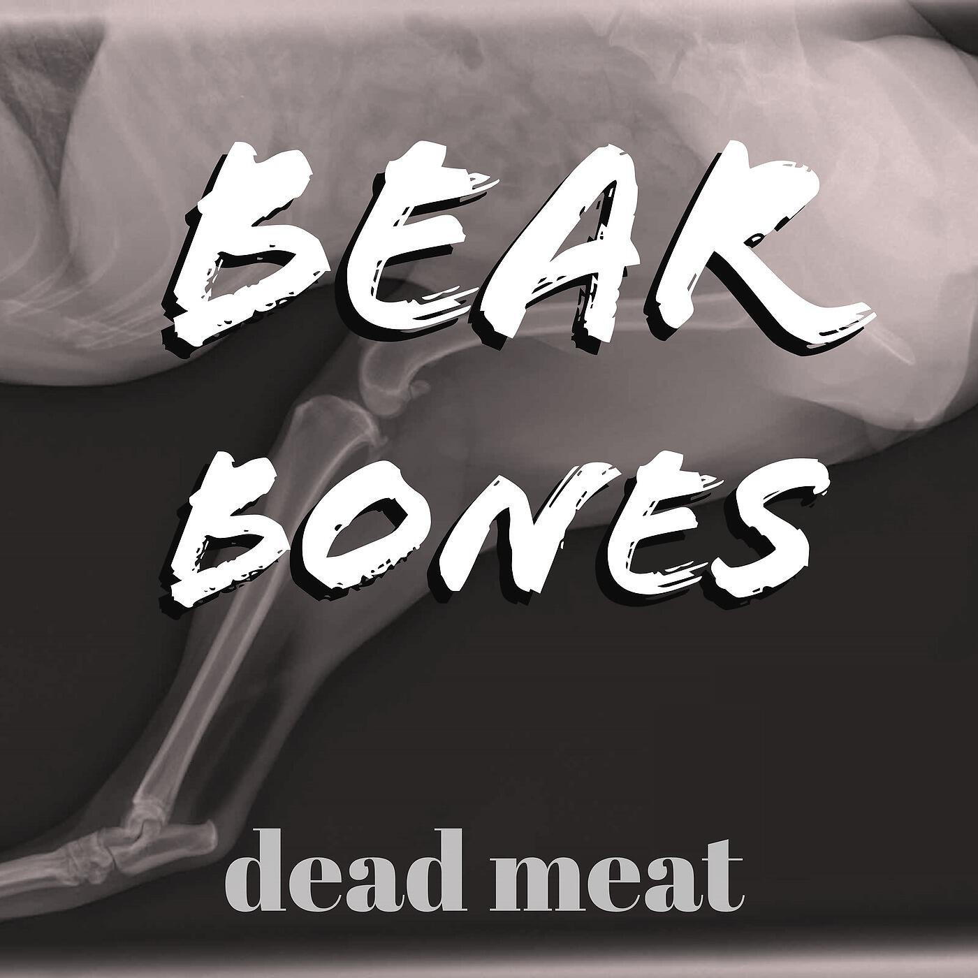 Релиз Dead Meat