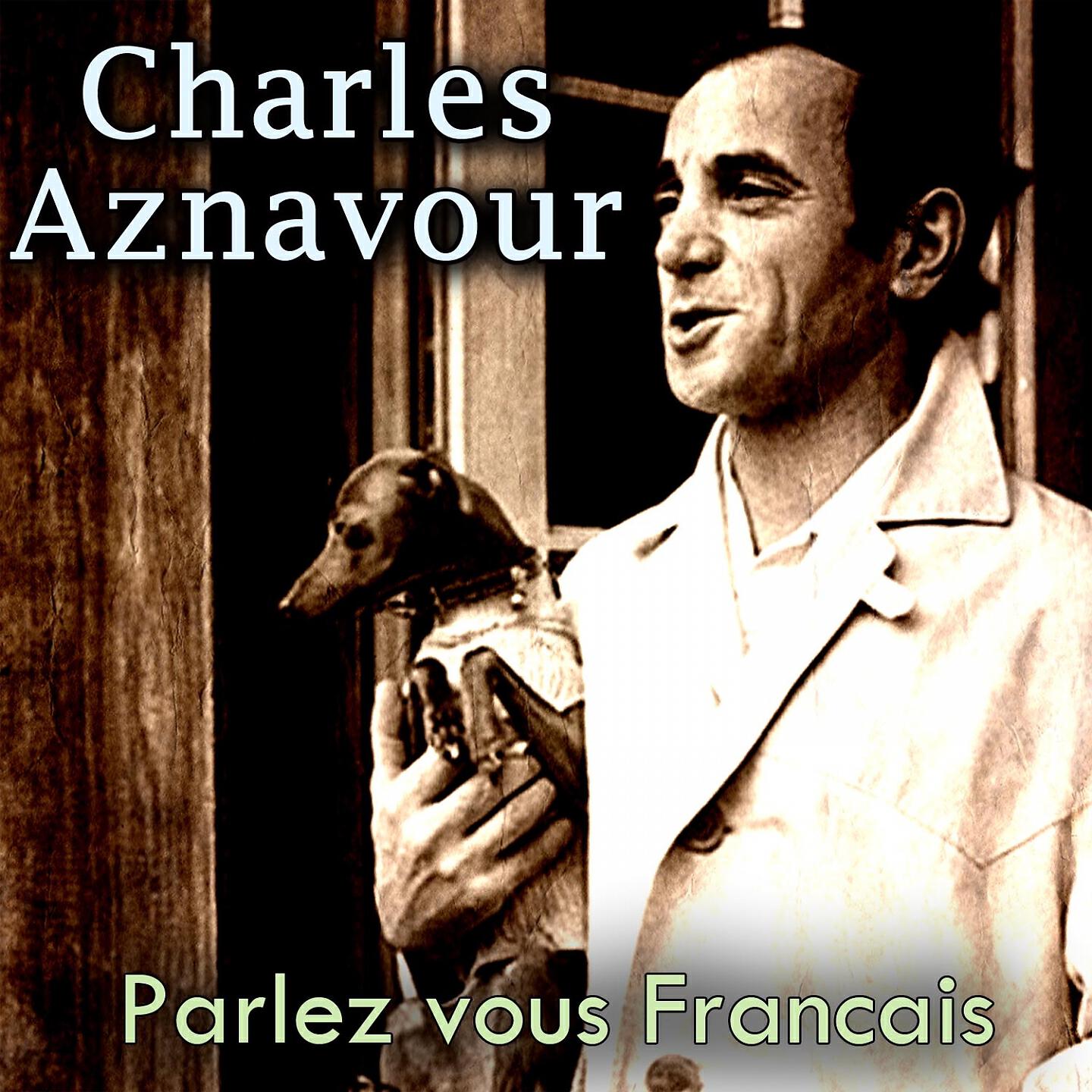 Постер альбома Parlez vous Francais
