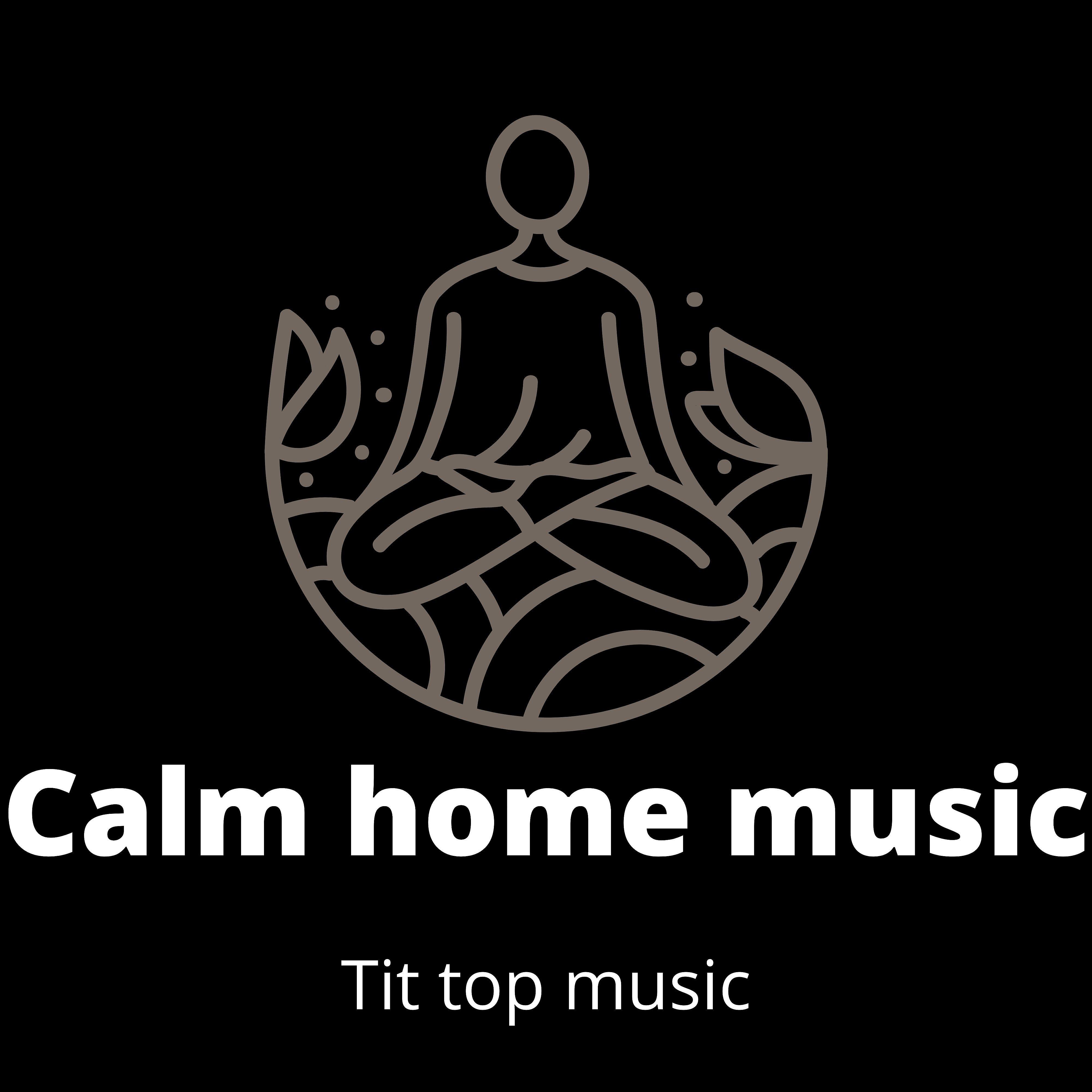 Релиз Calm Home Music
