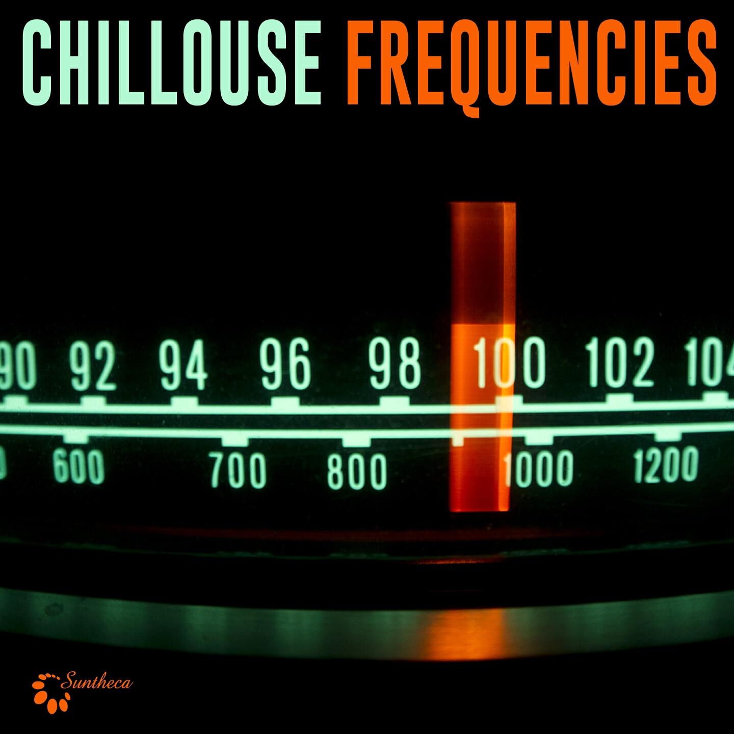 Релиз Chillhouse Frequencies