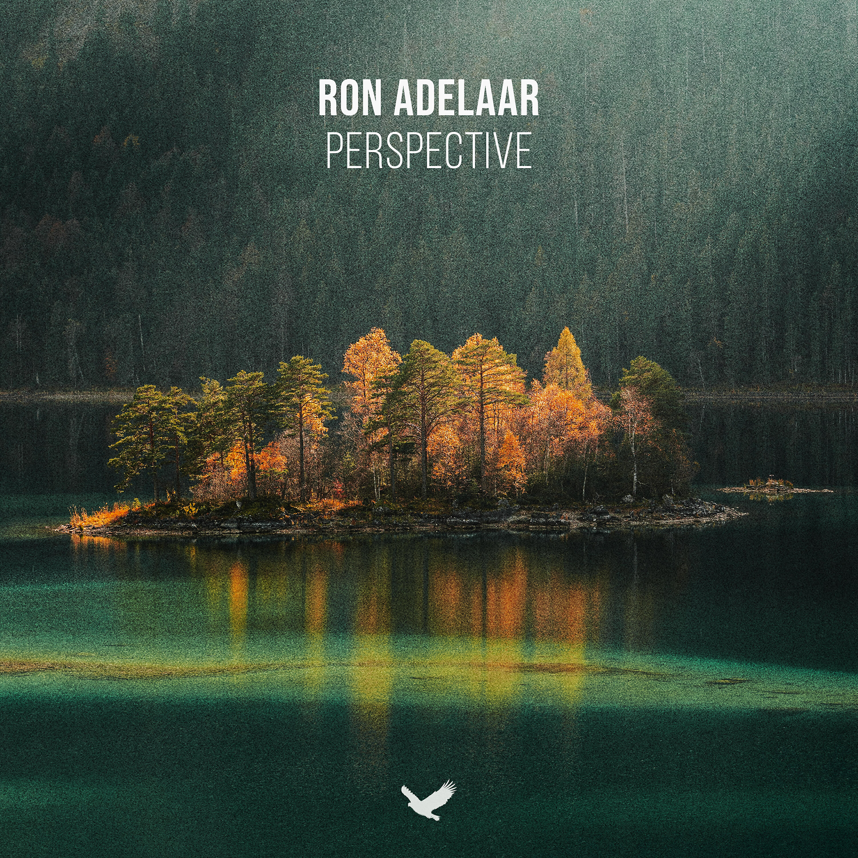 Релиз Perspective