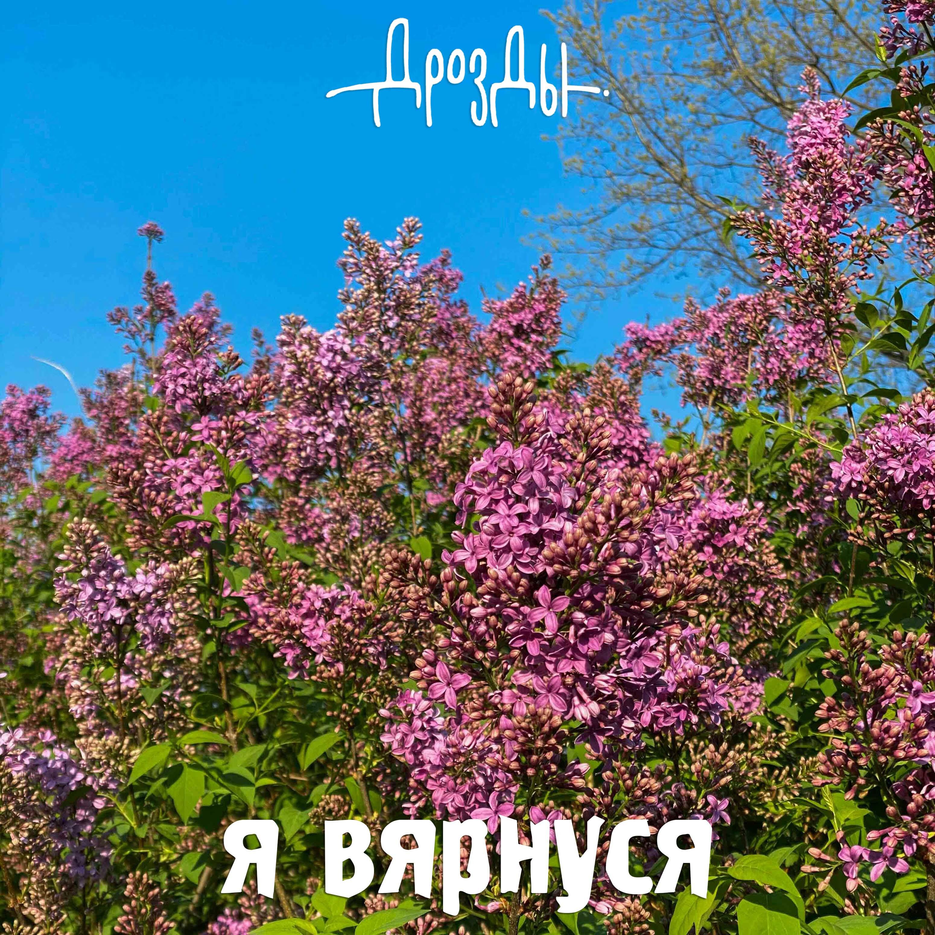 Релиз Я вярнуся