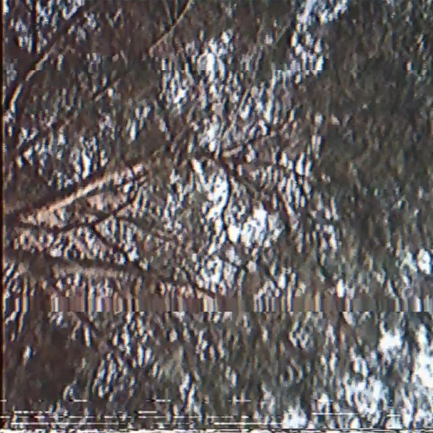 Релиз Segmentaciya