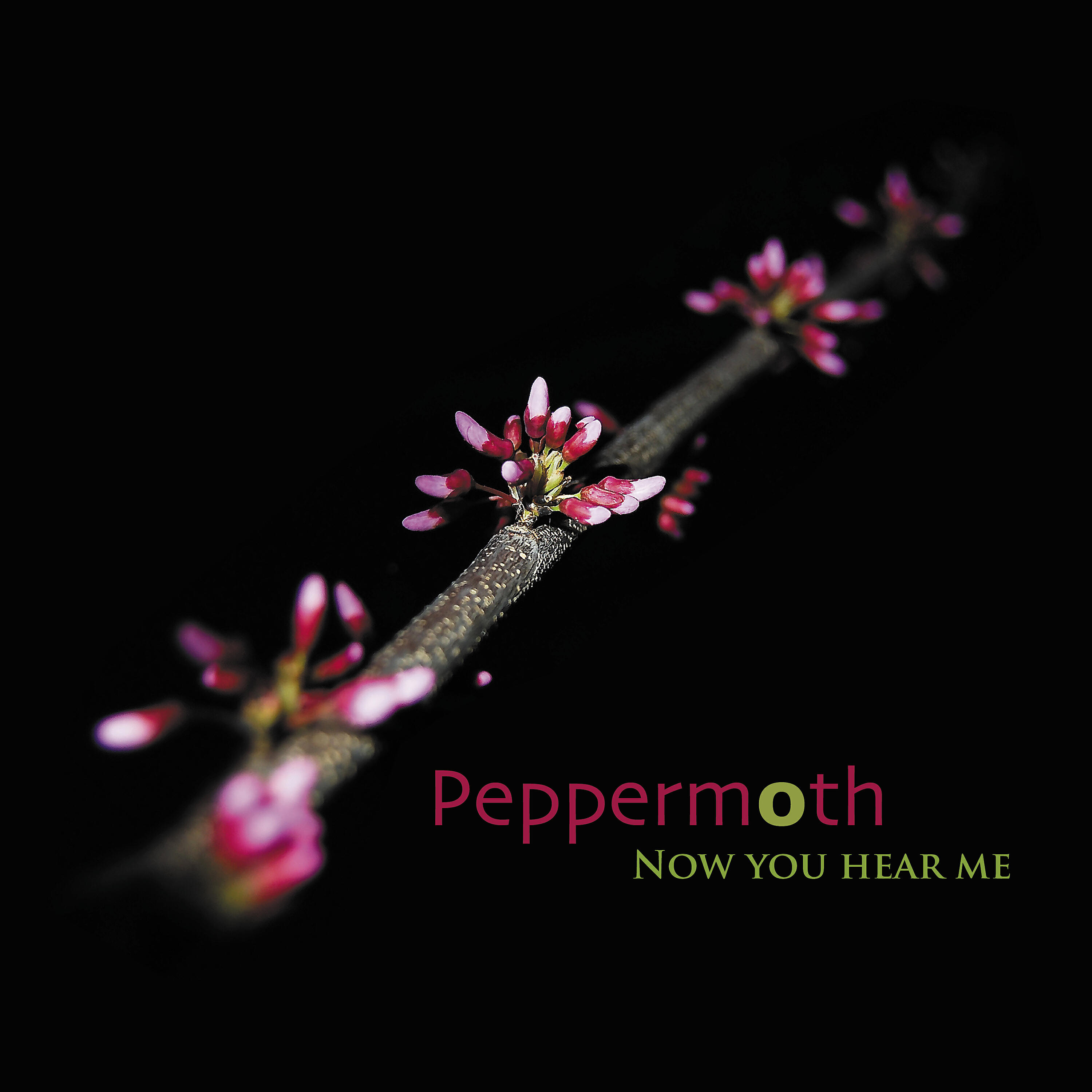 Релиз Now You Hear Me