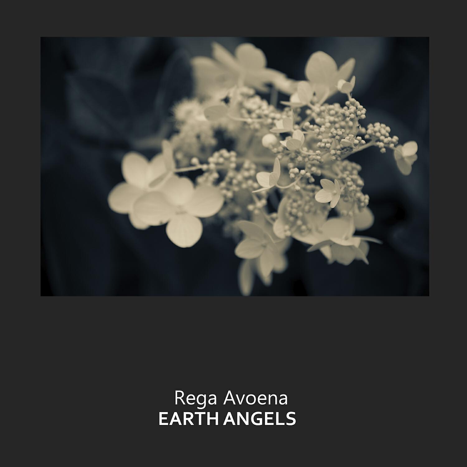 Релиз Earth Angels