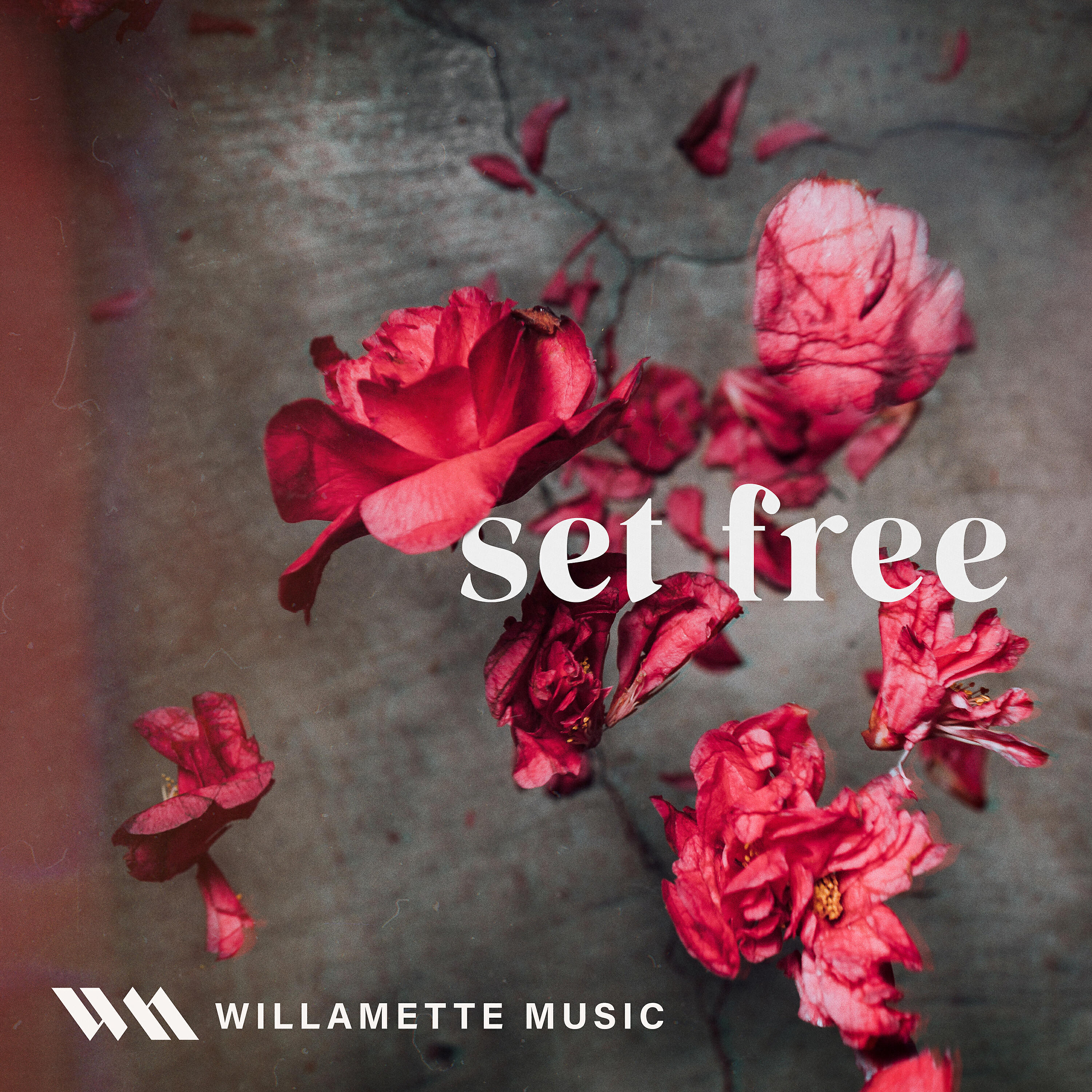 Релиз Set Free