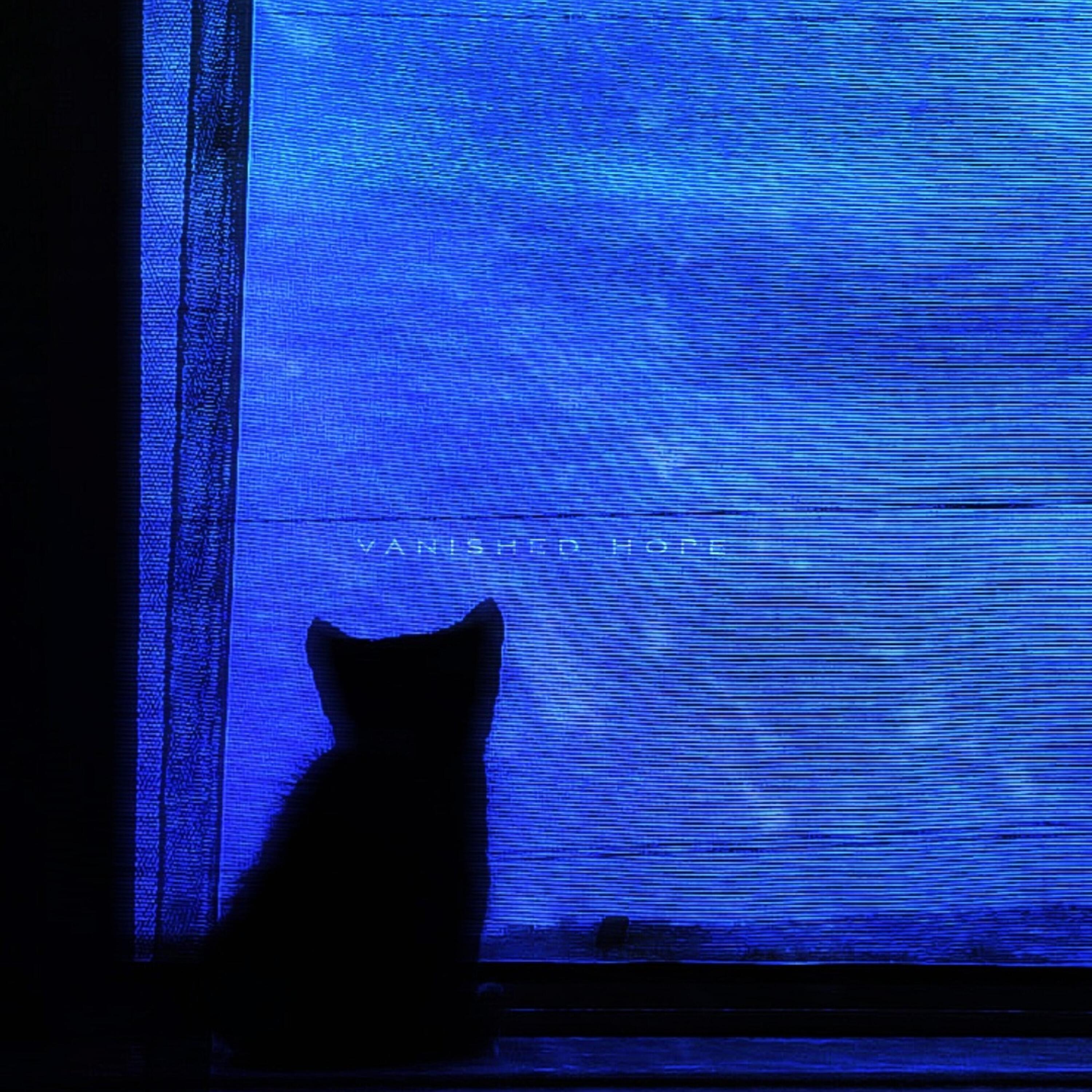 Релиз vanished hope