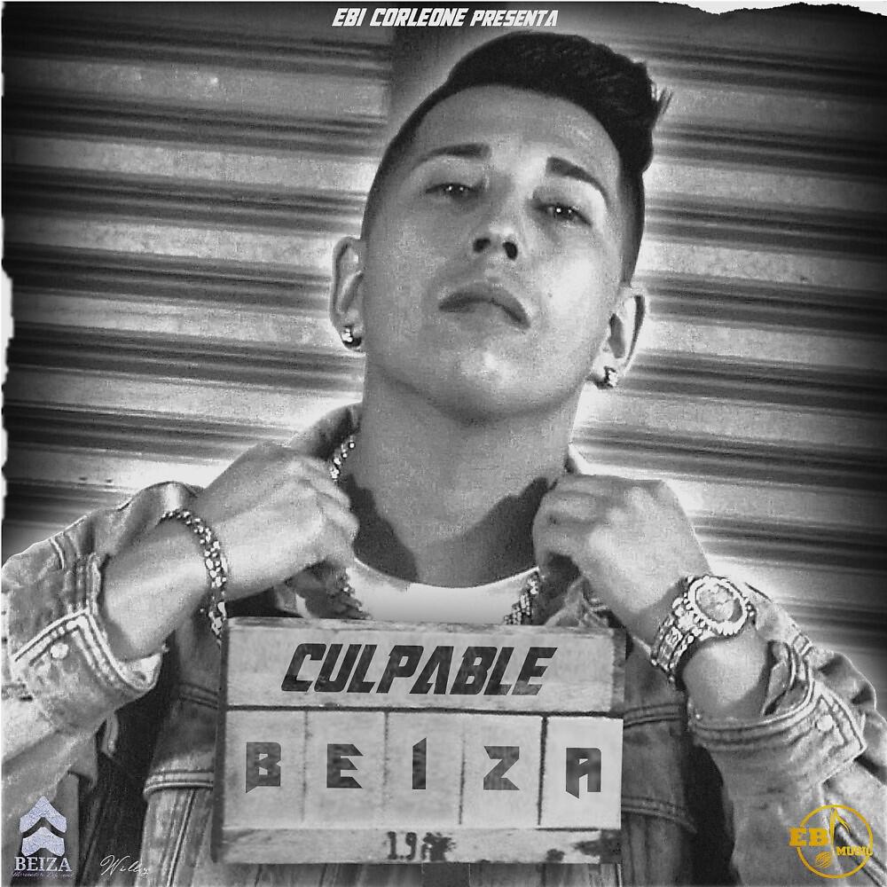 Релиз Culpable
