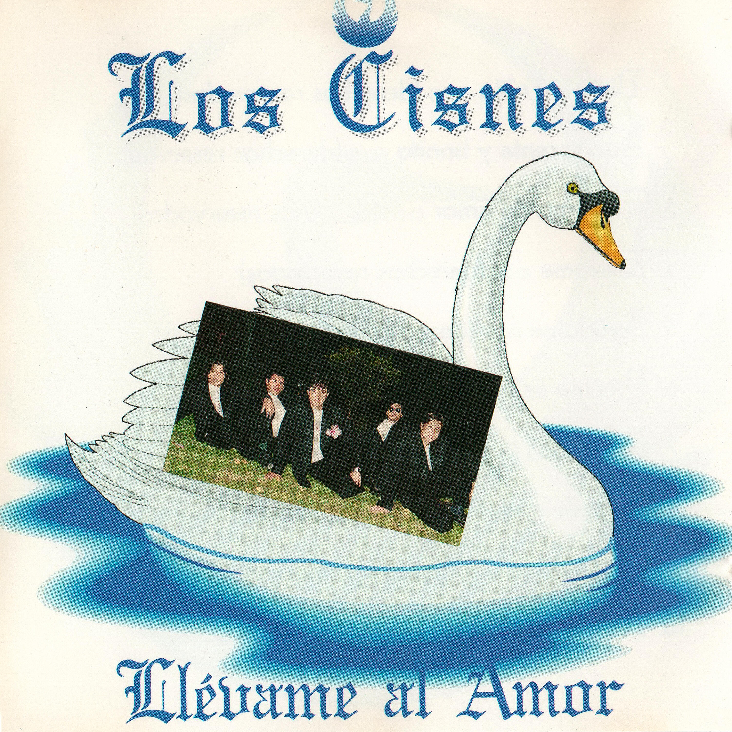 Los Cisnes
