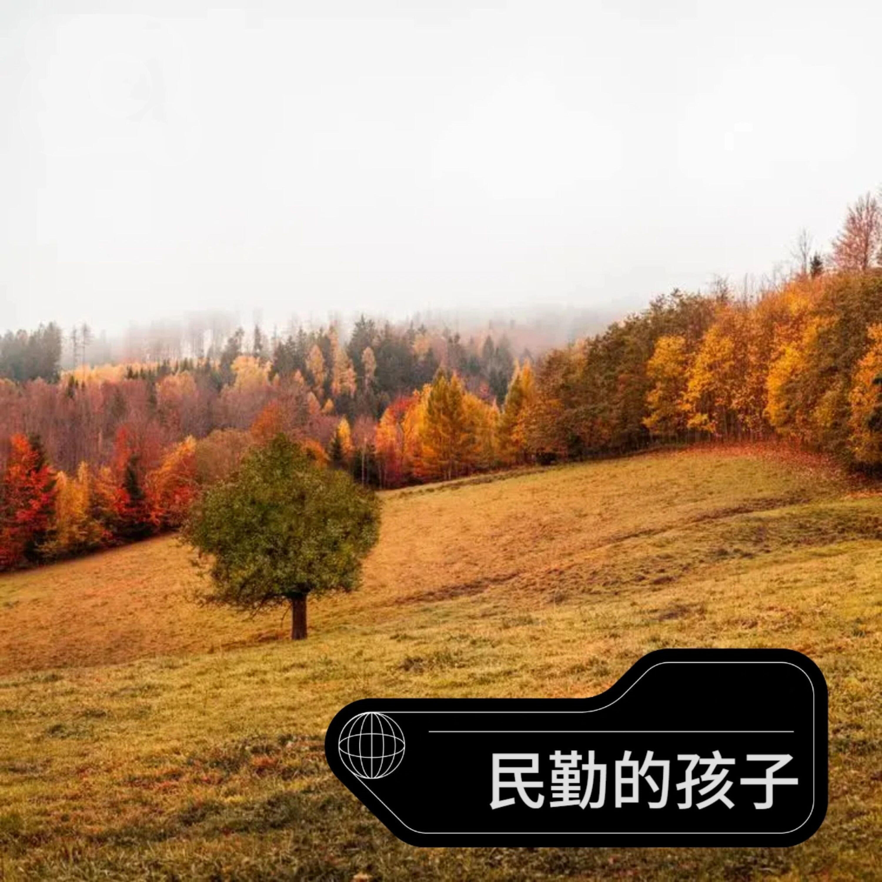 Релиз 民勤的孩子