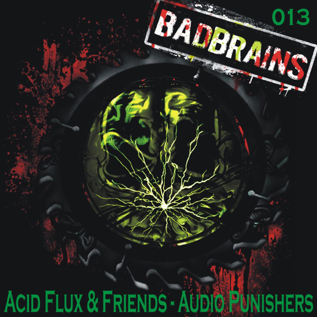 Релиз Acid Flux & Friends - Audio Punishers