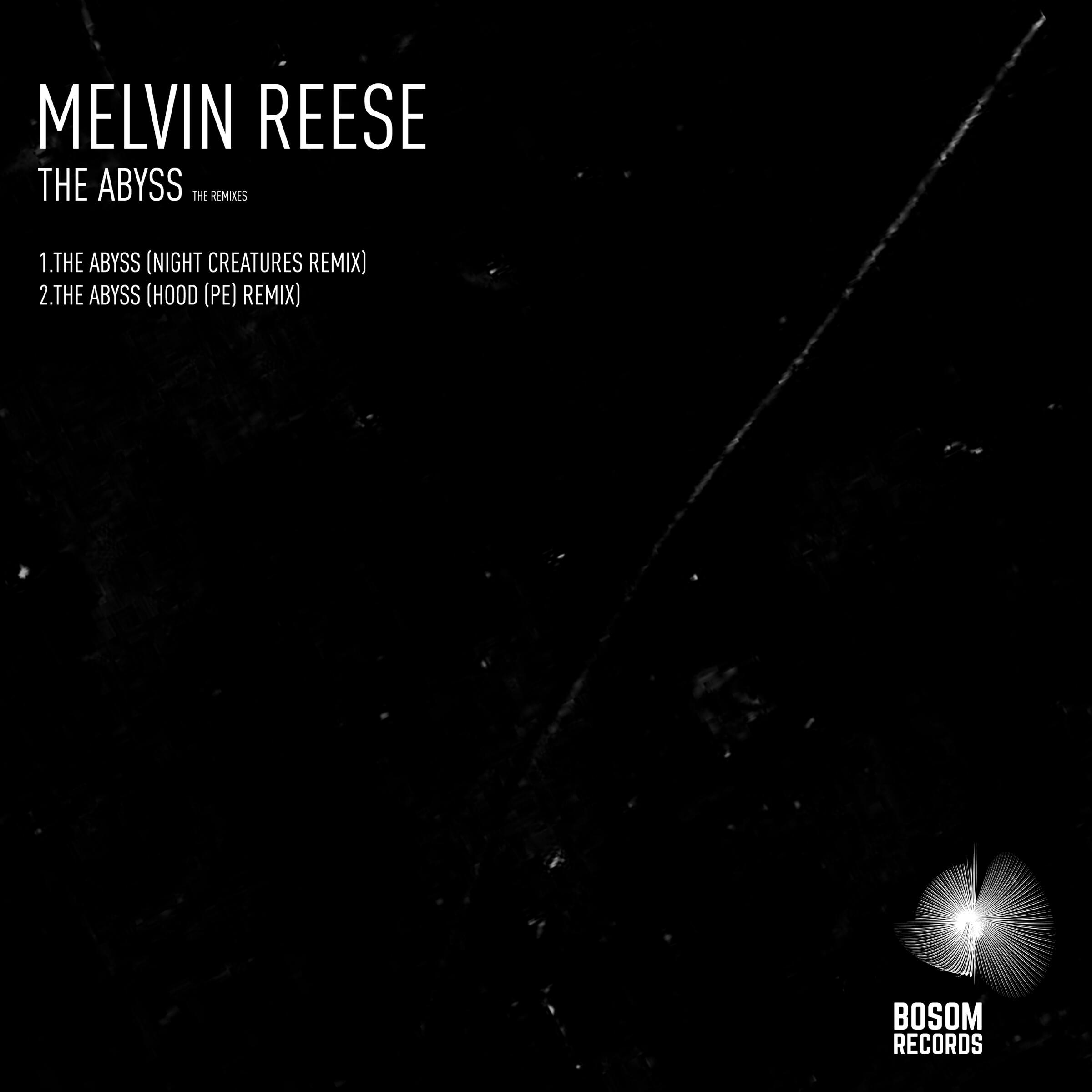 Релиз The Abyss (The Remixes)