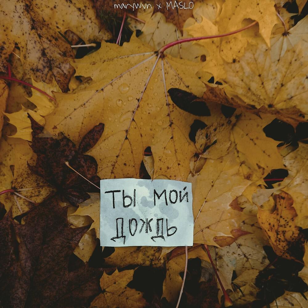 Релиз Ты мой дождь (Prod. Erёmushka)