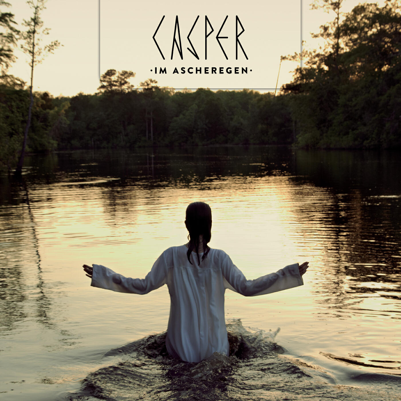 Релиз Im Ascheregen