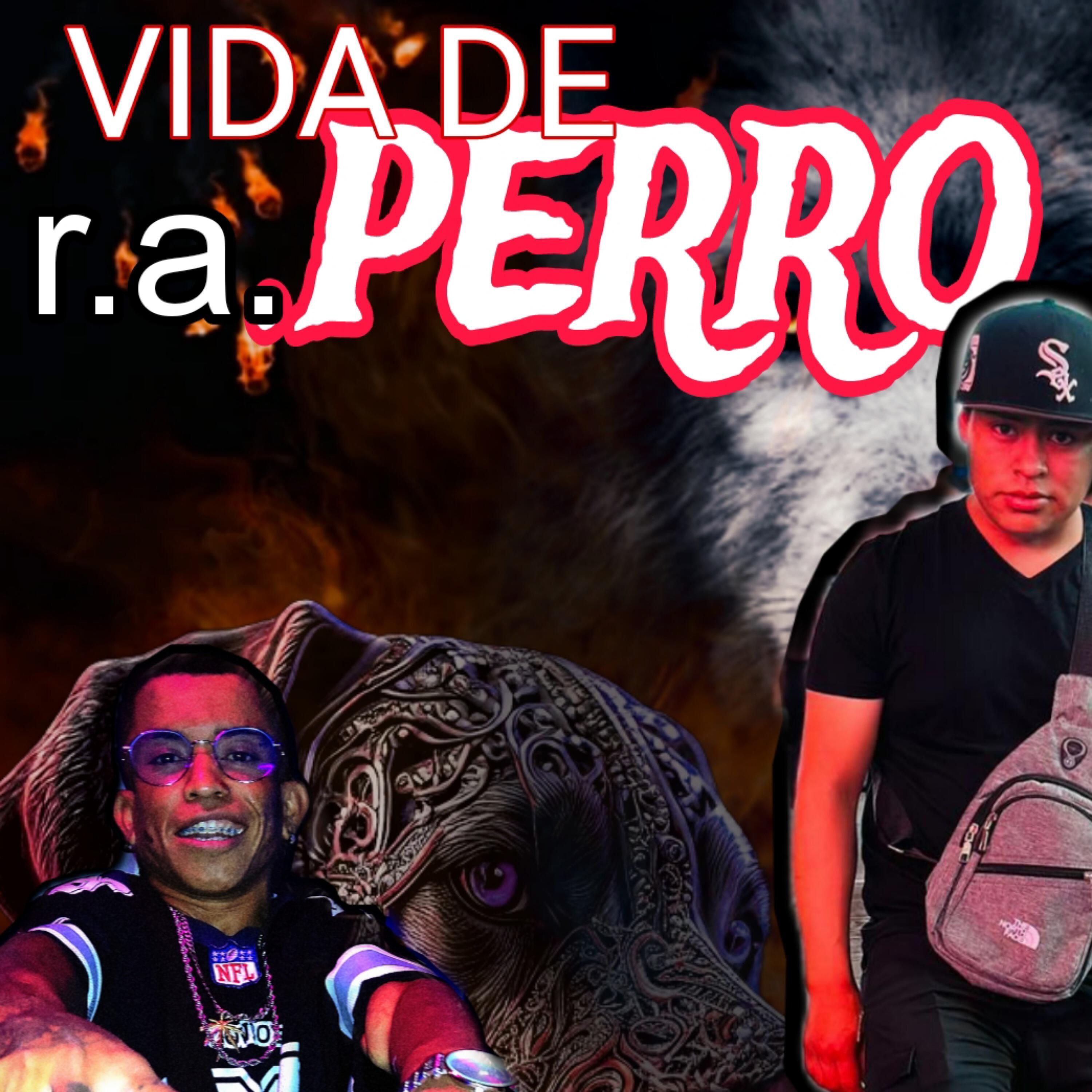 Релиз Vida de Raperro