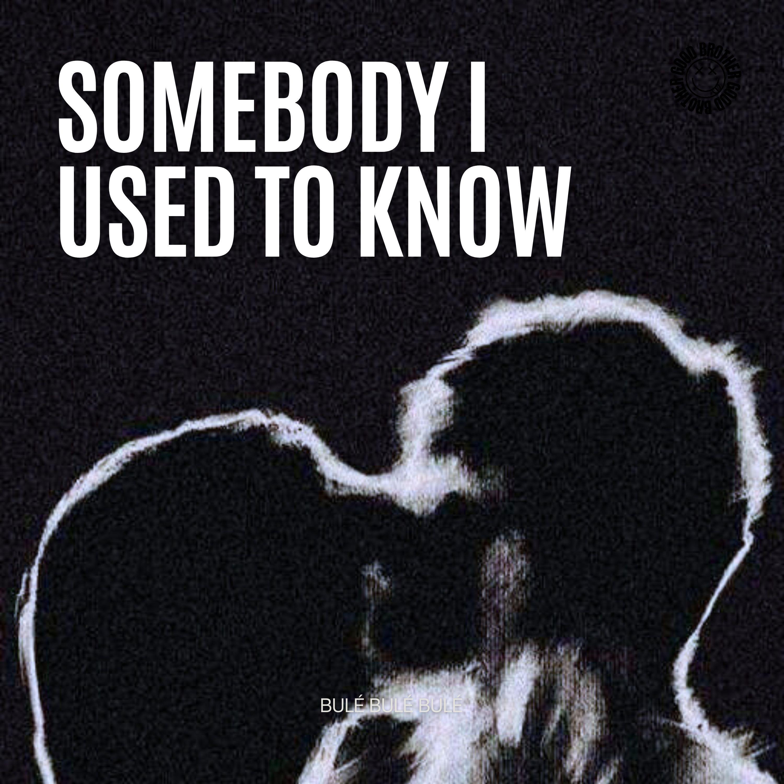 Релиз Somebody that i used to know (House)