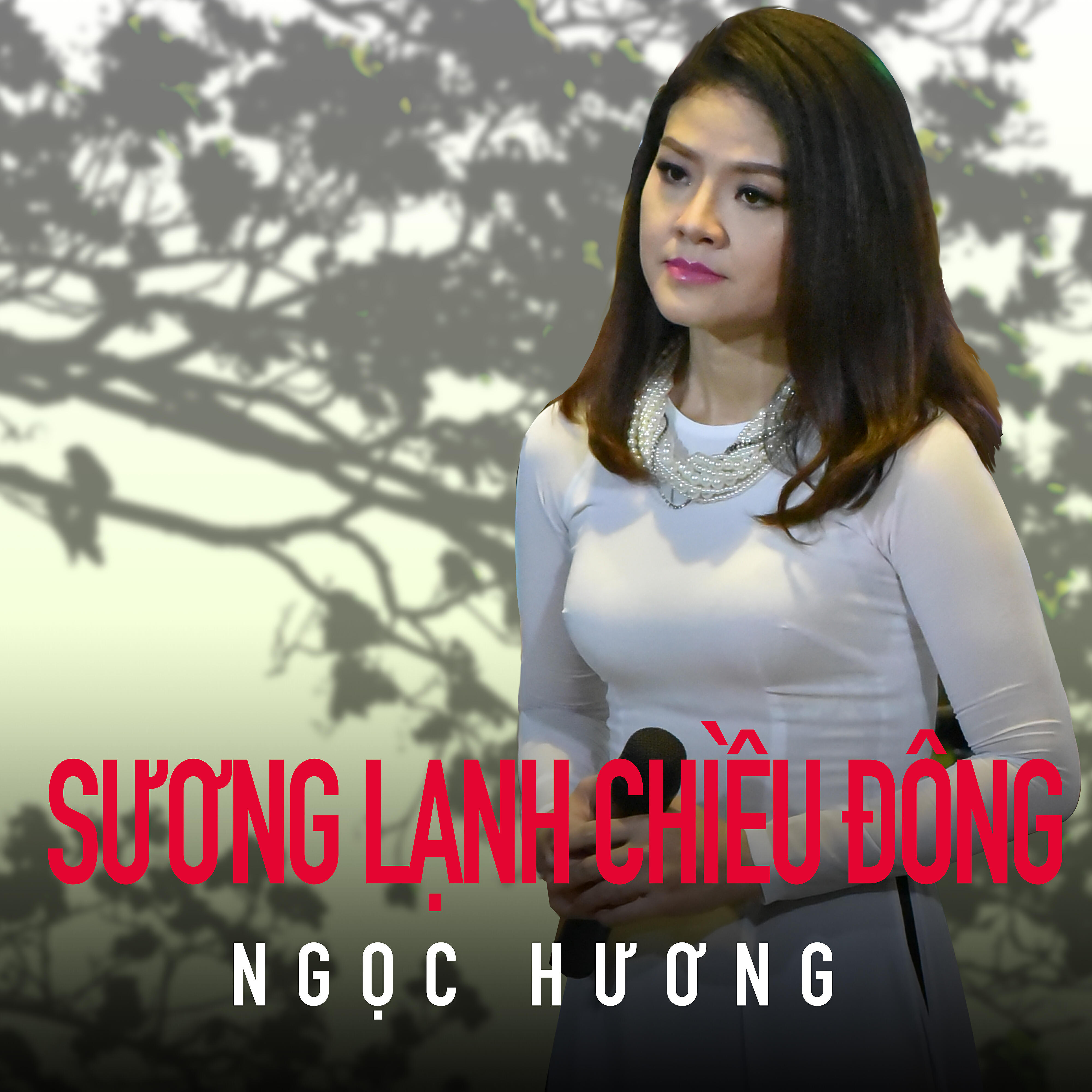 Релиз Sương Lạnh Chiều Đông