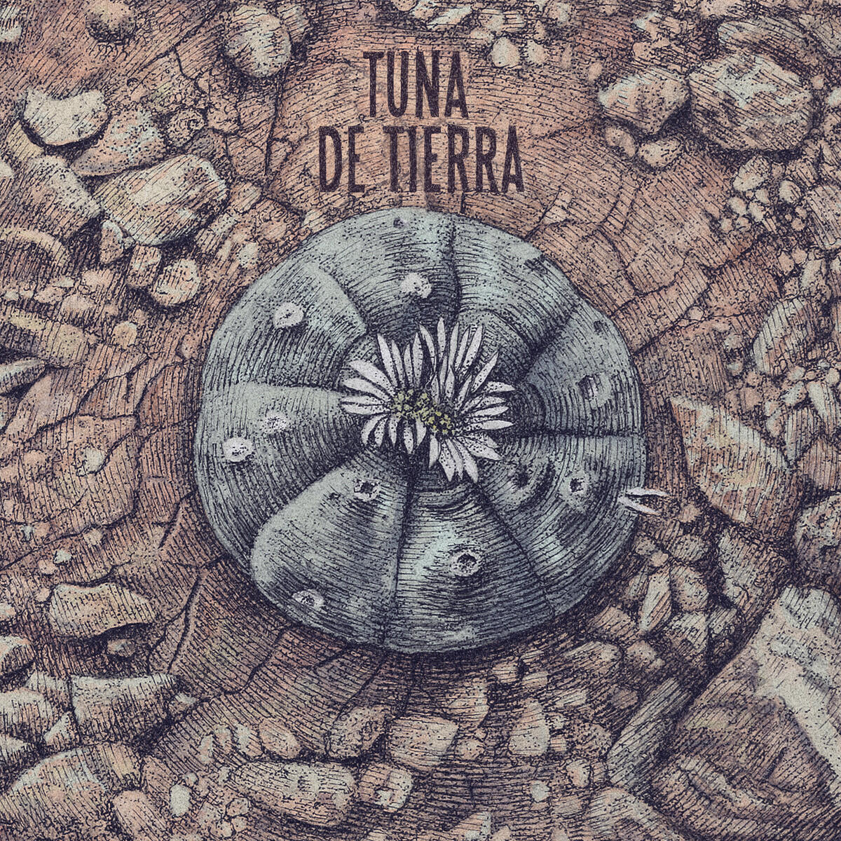 Релиз Tuna de Tierra