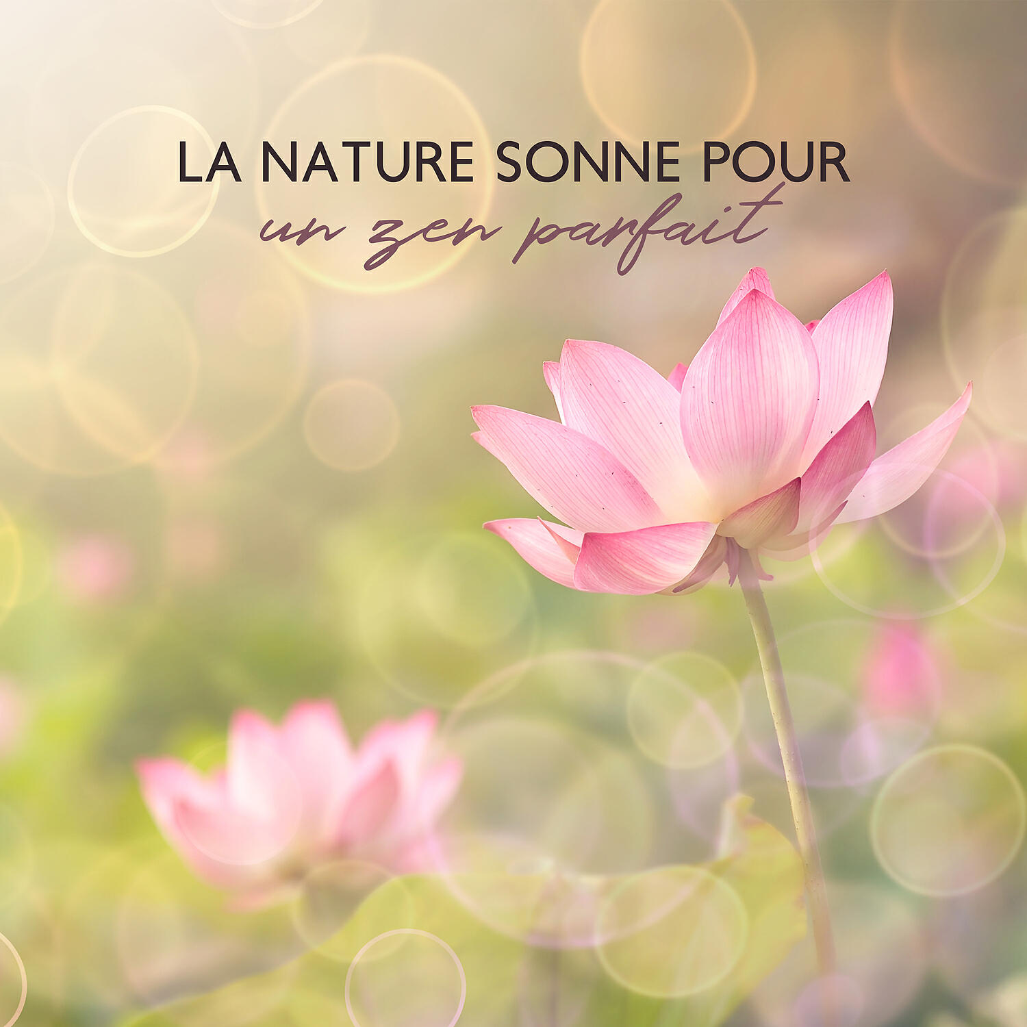 Релиз La nature sonne pour un zen parfait: La méditation curative de la nature, Les sons de la nature relaxants instrumentaux, Les magnifiques paysages sonores de la nature