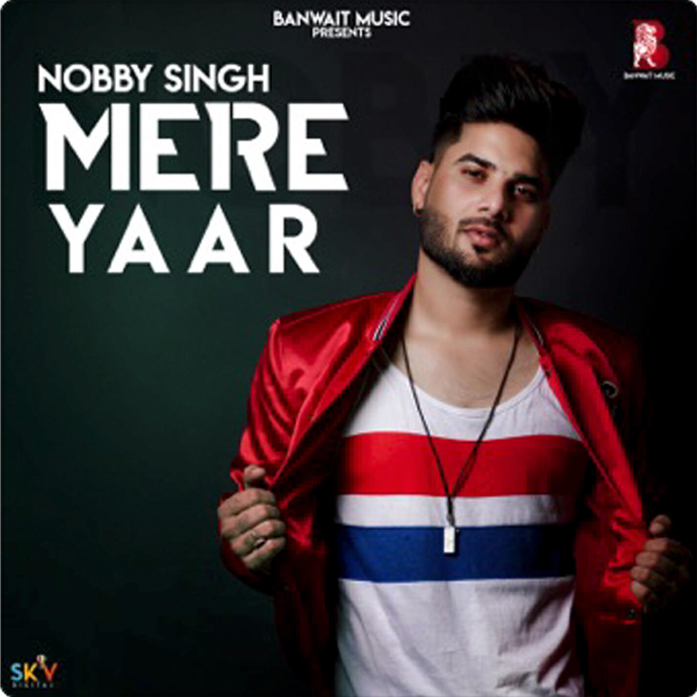Релиз Mere Yaar