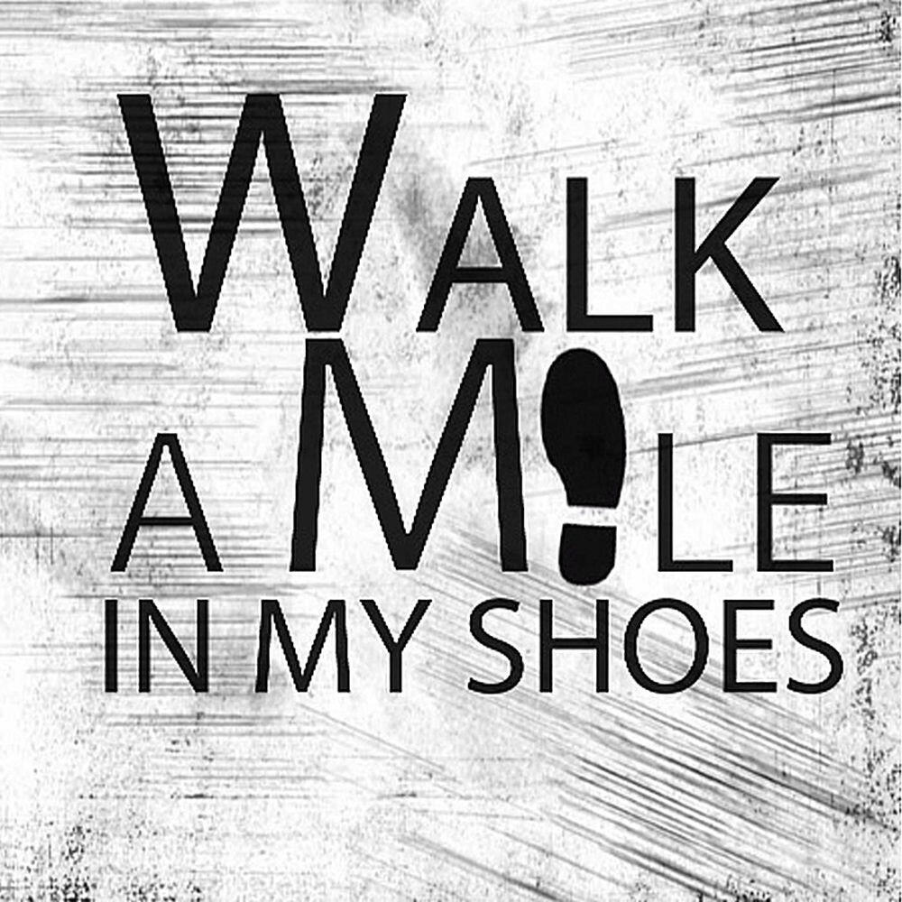 Релиз Walk a Mile in My Shoes