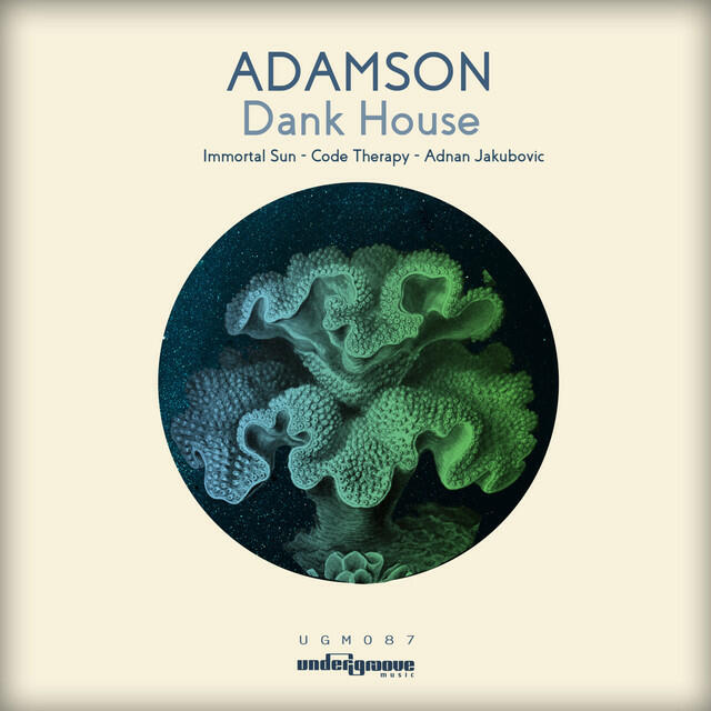 Релиз Dank House