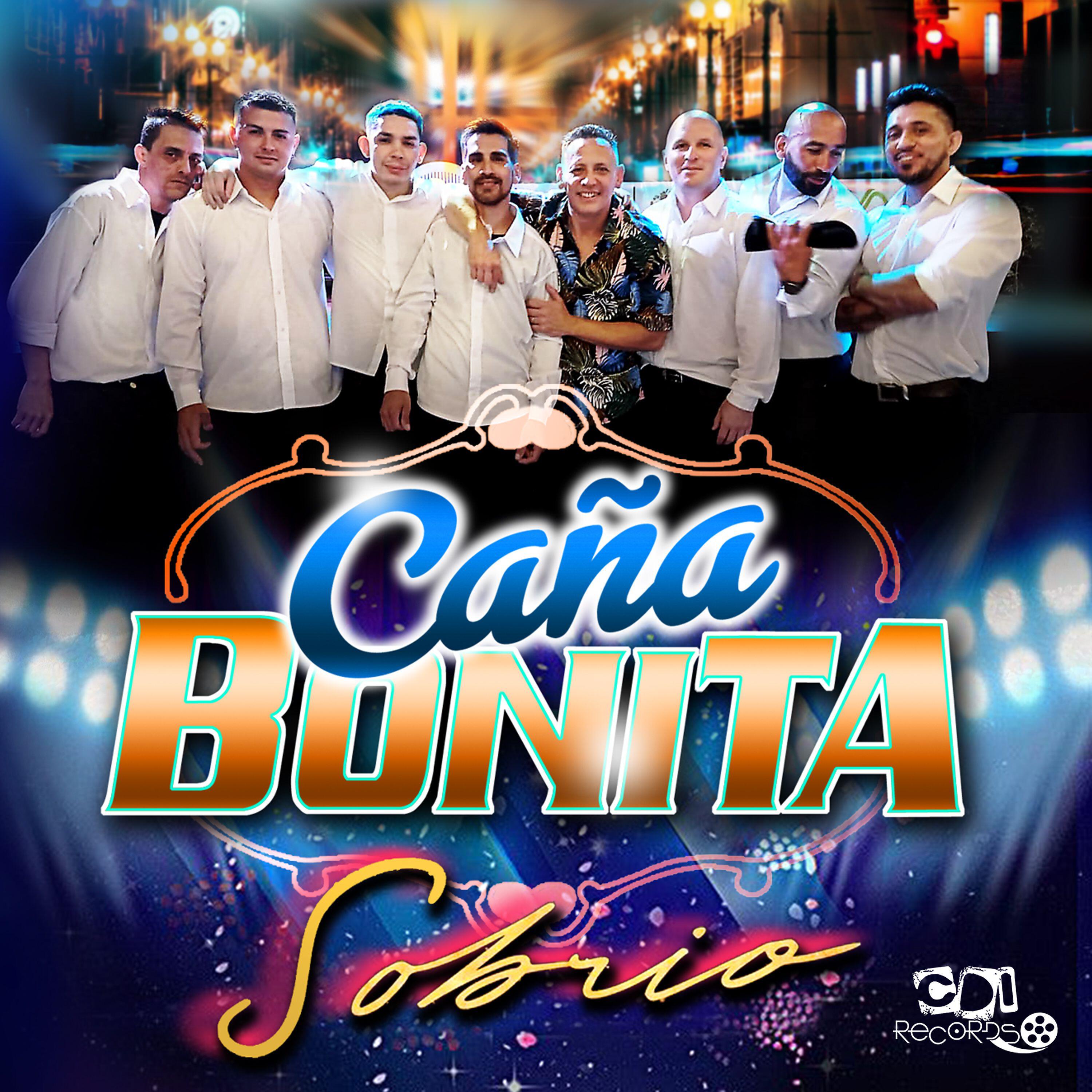 Релиз Sobrio