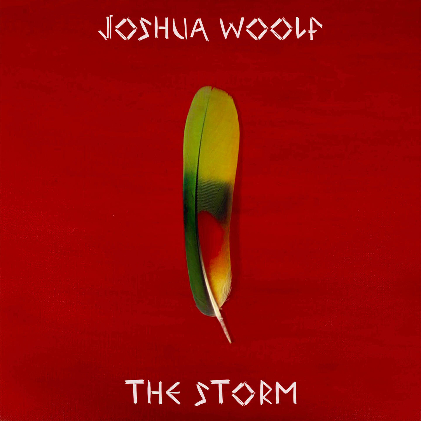 Релиз The Storm